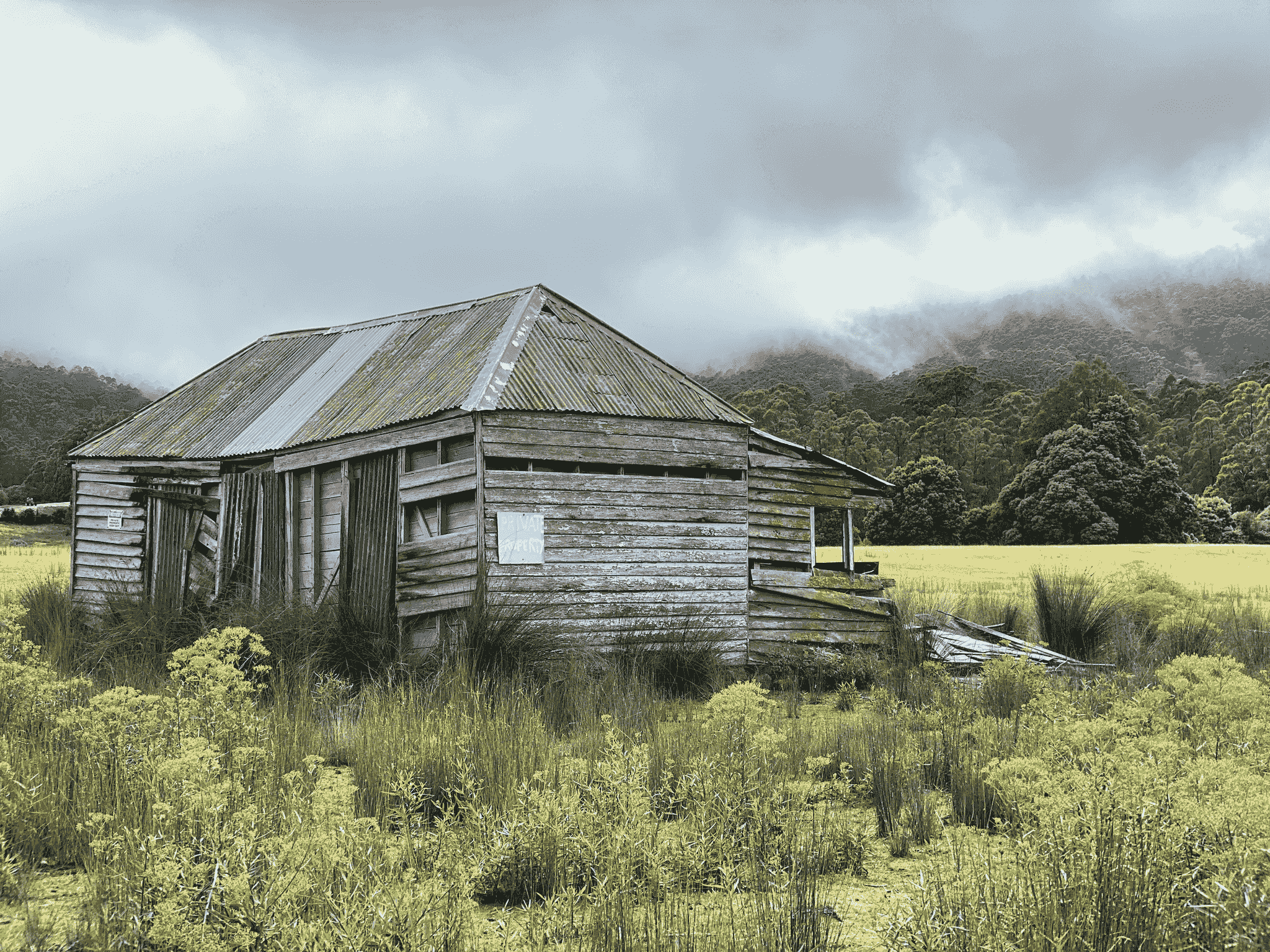 Luxurious Studio Shed Storage Cabins with Modern Stylish Aesthetics