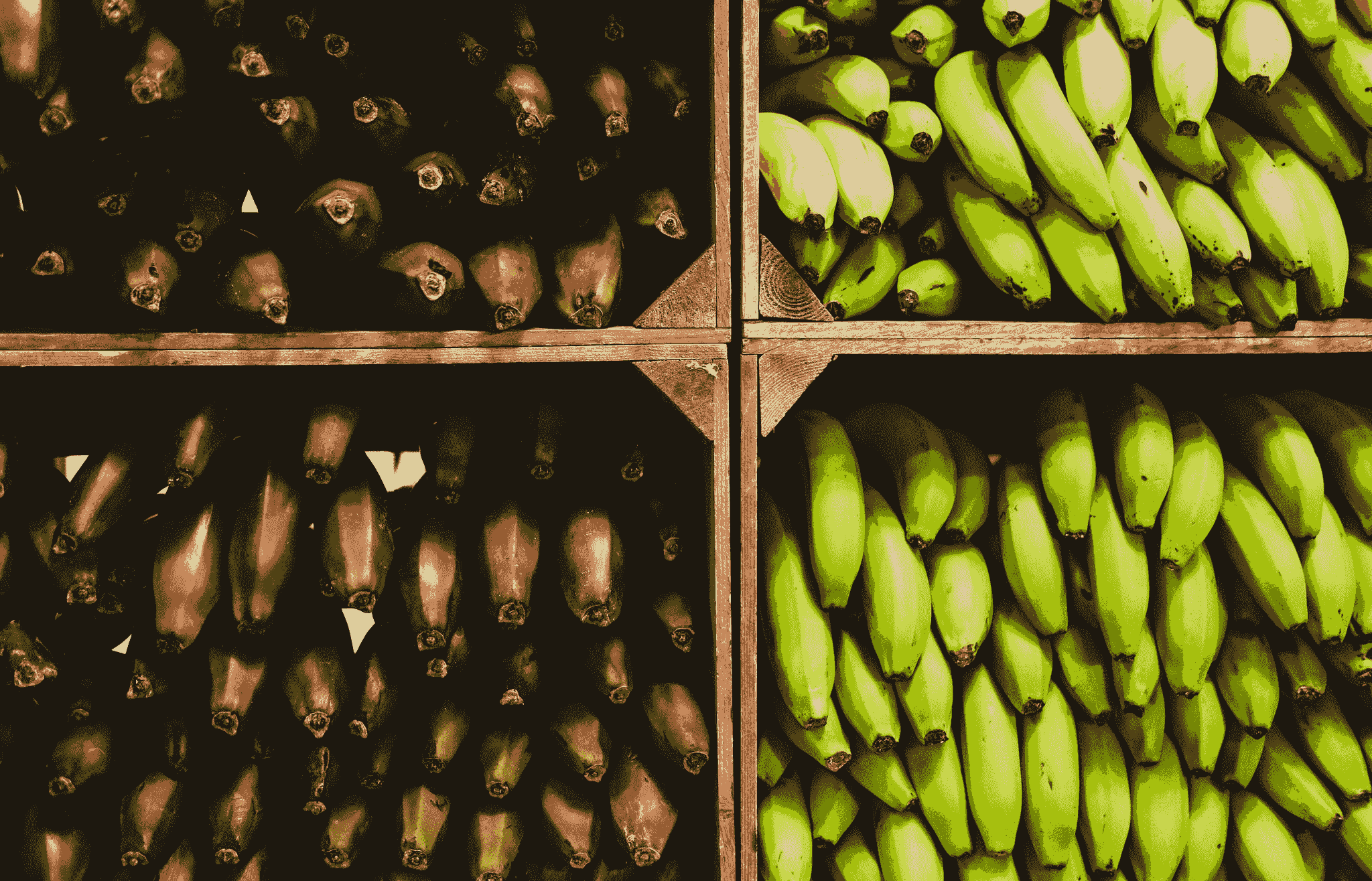 Delicious and nutritious freeze dried banana snacks.