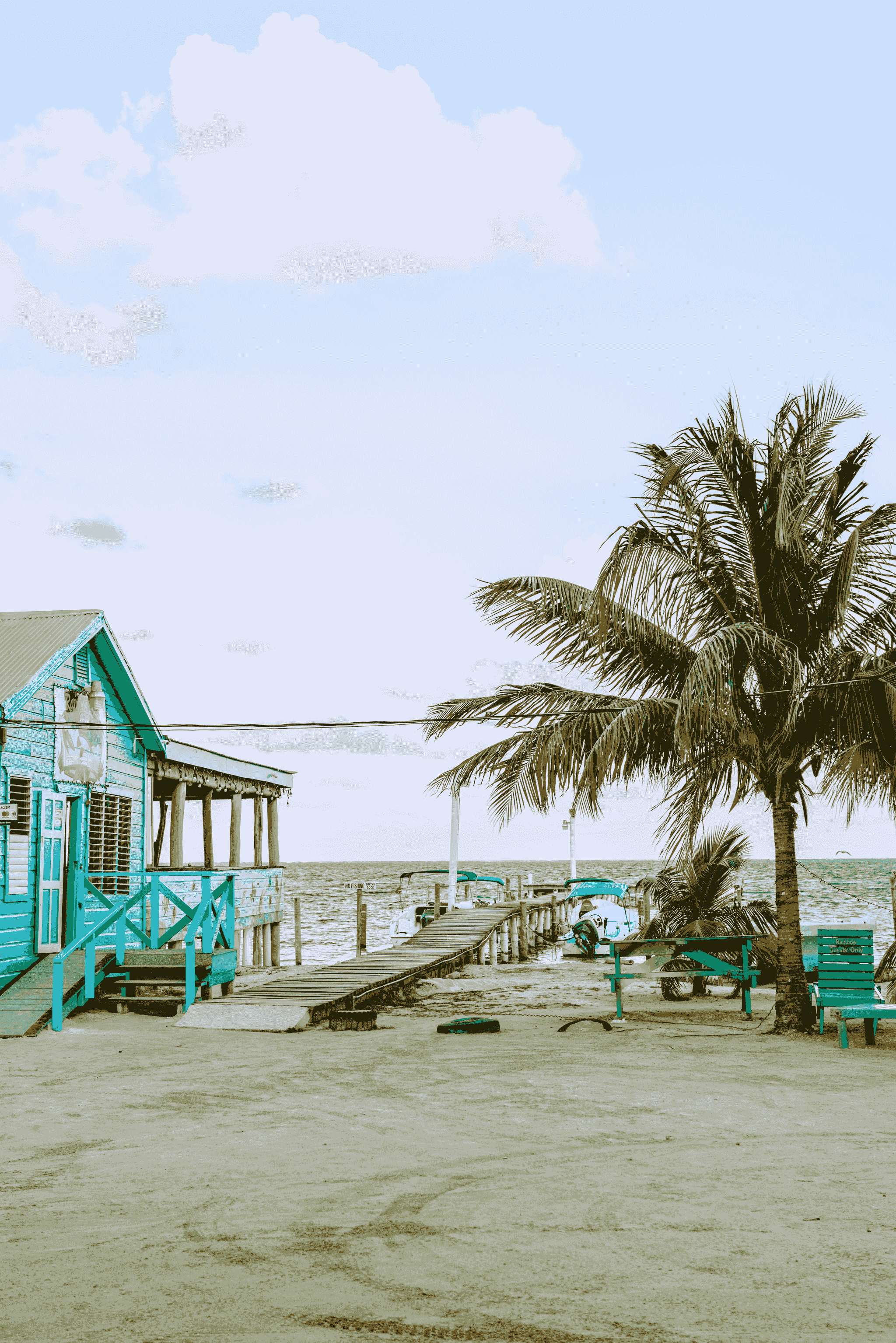 Vacation home by the beach with palm trees