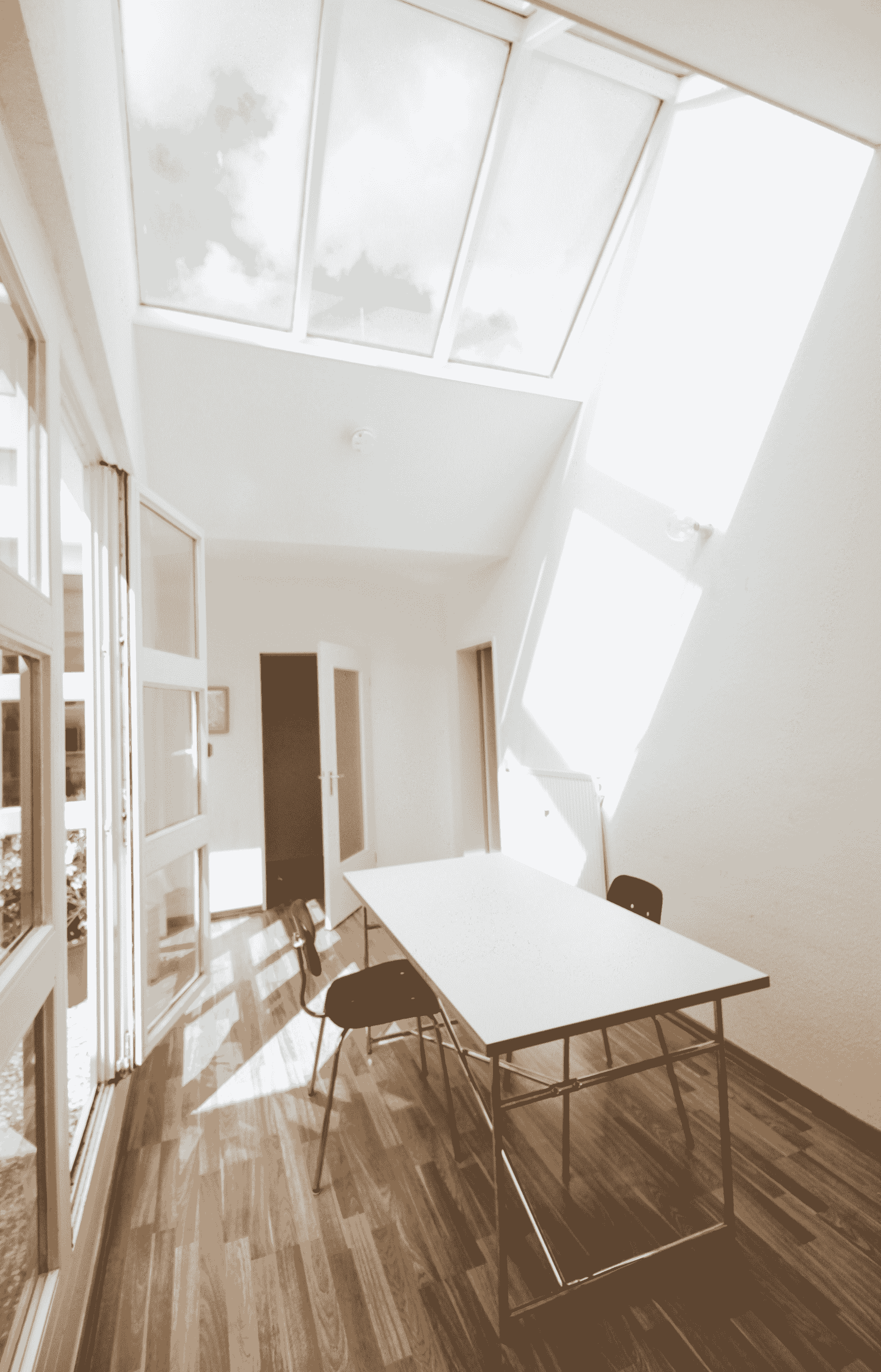 Naturally lit sunroom with skylights in prefab house