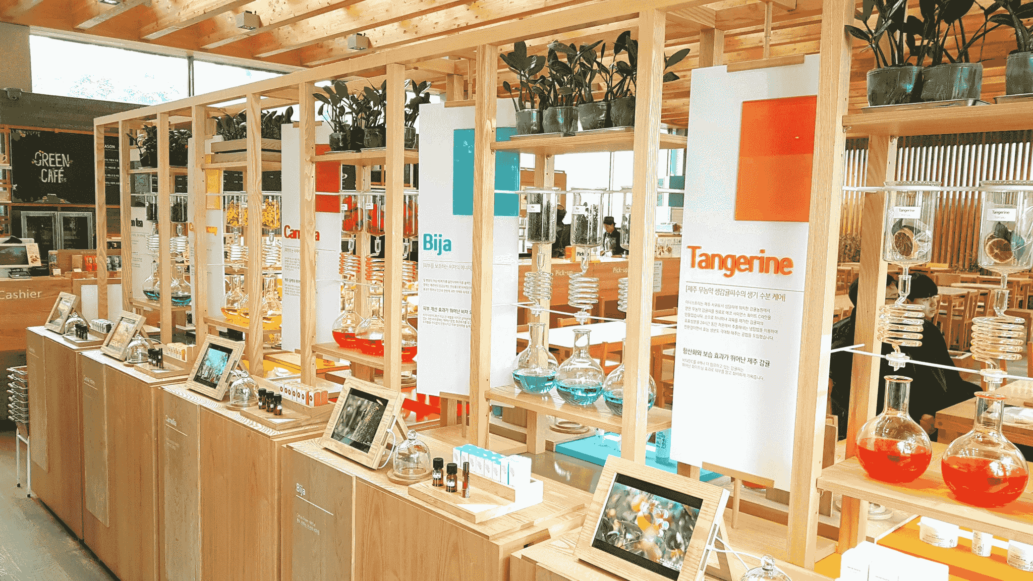 Creative Container Shop Design Concepts You’ll Love