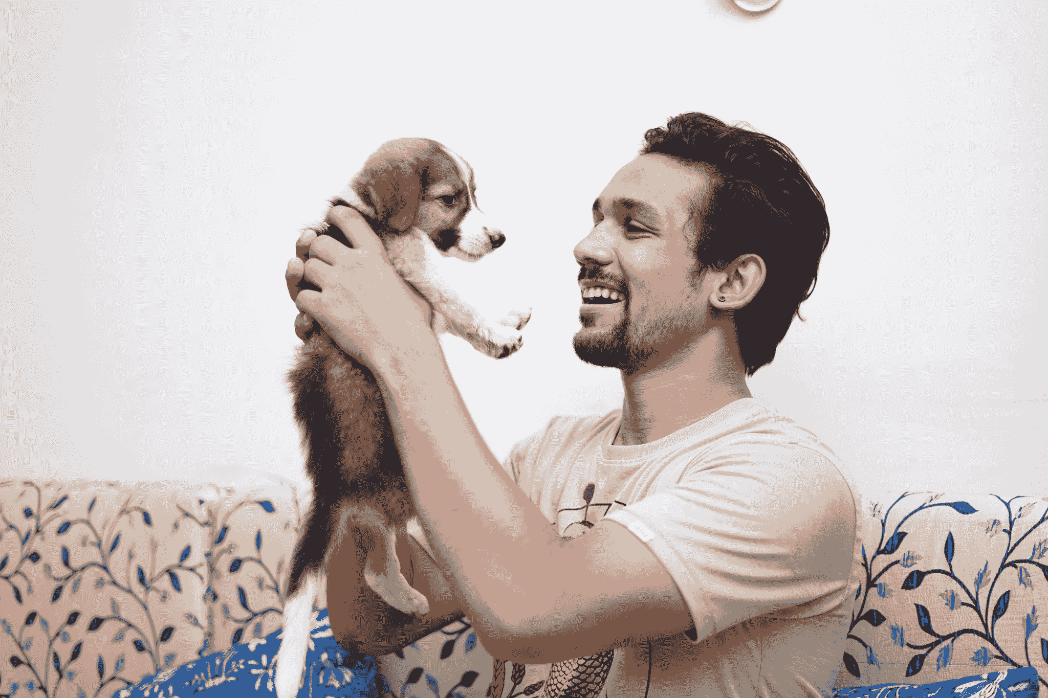 A happy, healthy pet cuddling with its owner after a vet visit