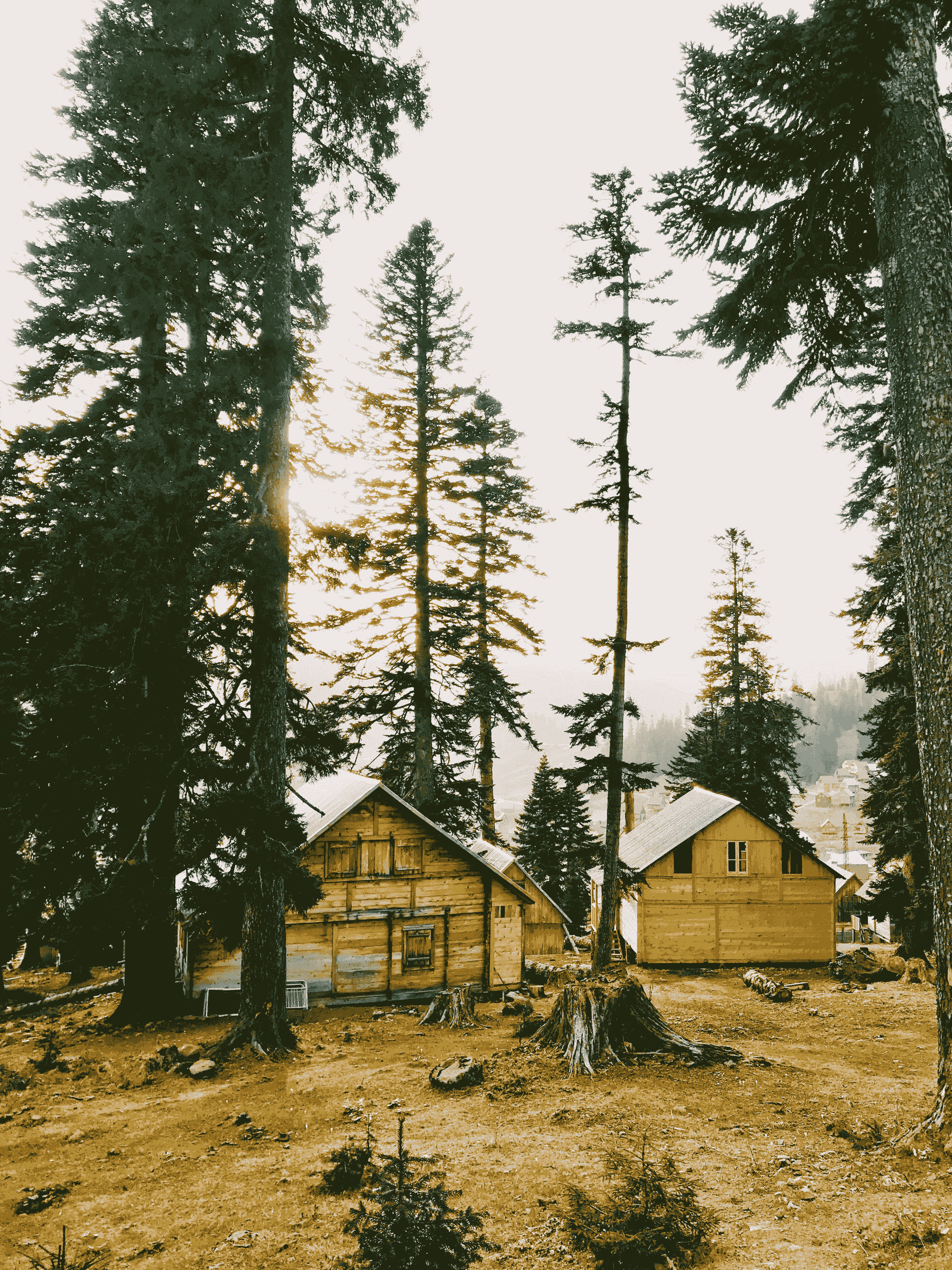 Timeless design elements in backyard unlimited storage cabins