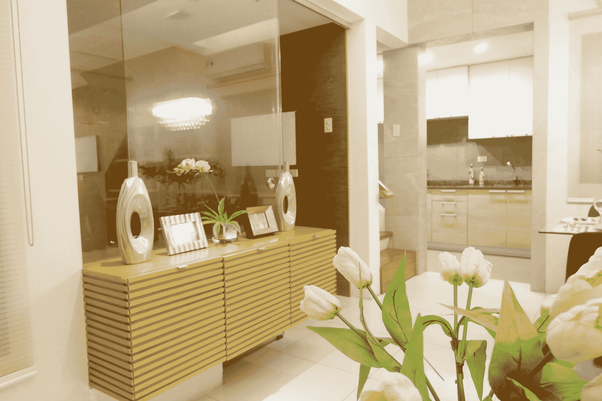 Luxury Capsule House Design with Premium Finishings