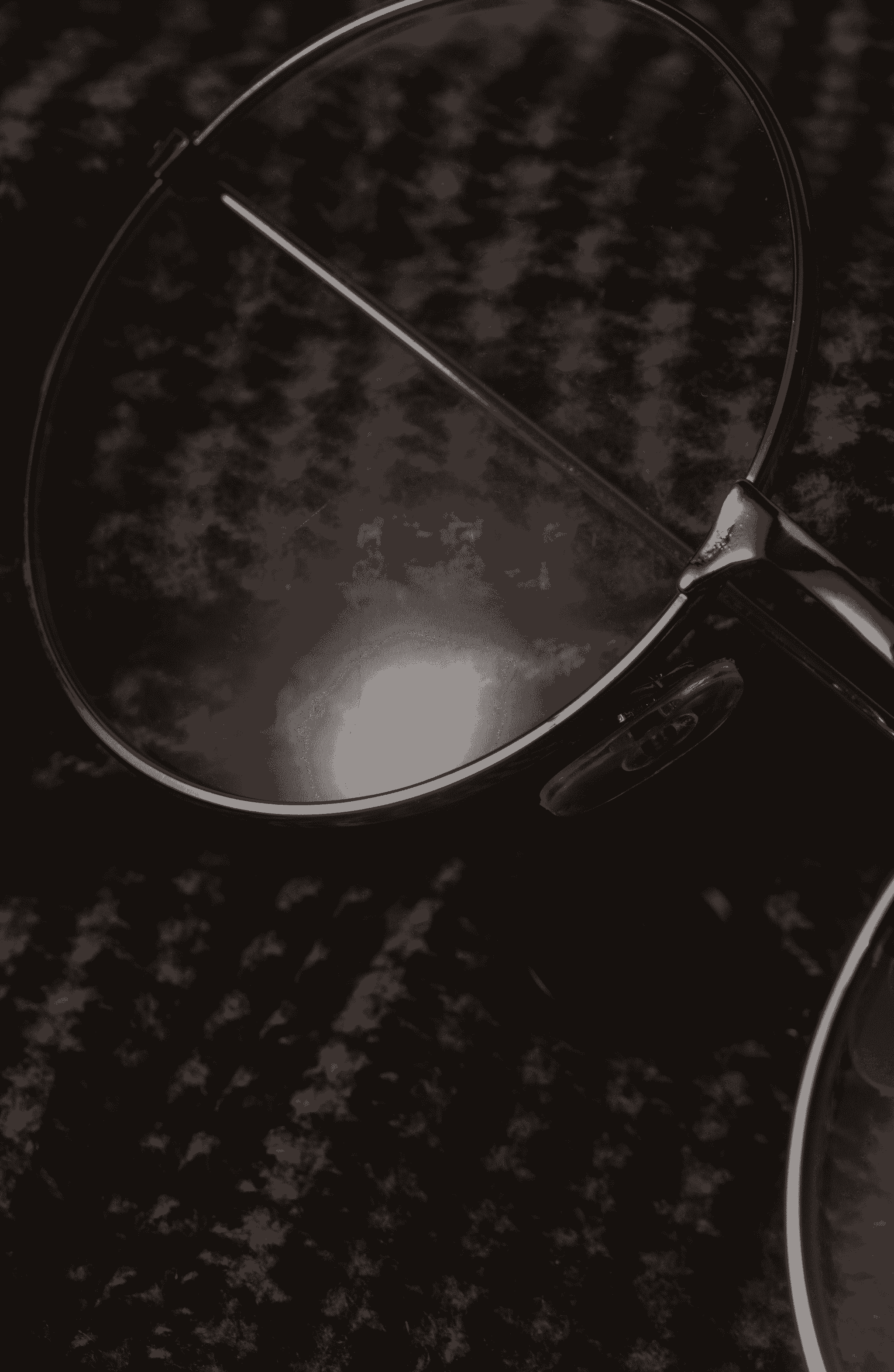 Eyewear Inspection Processes