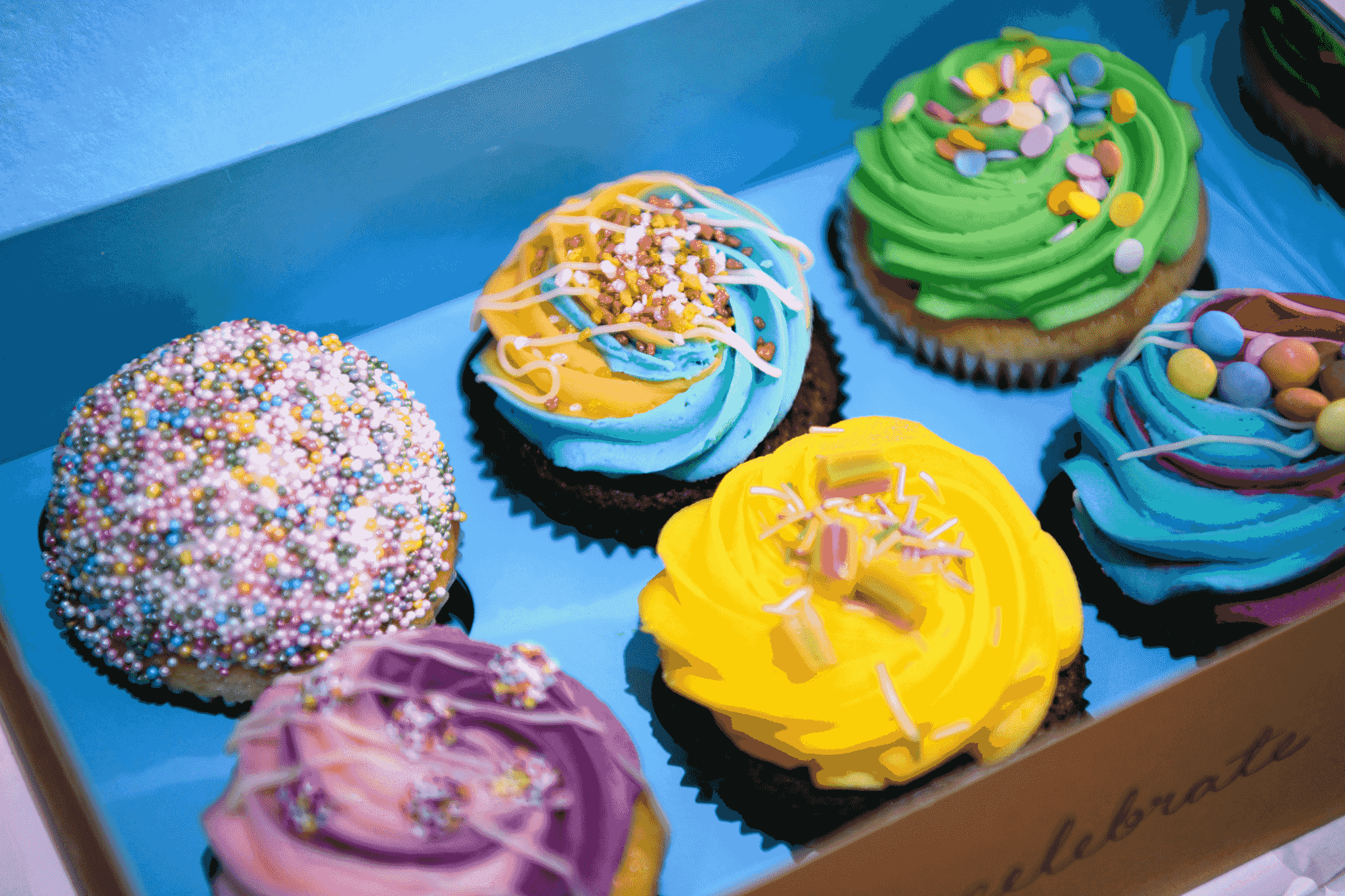 clamshell cupcake containers showcasing beautiful decorated treats