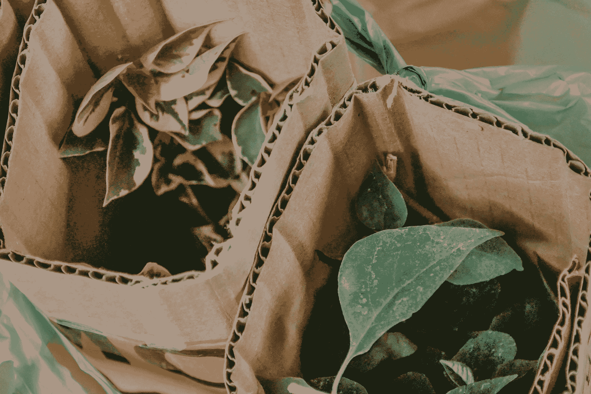 Private brand product showcasing eco-friendly packaging solutions.