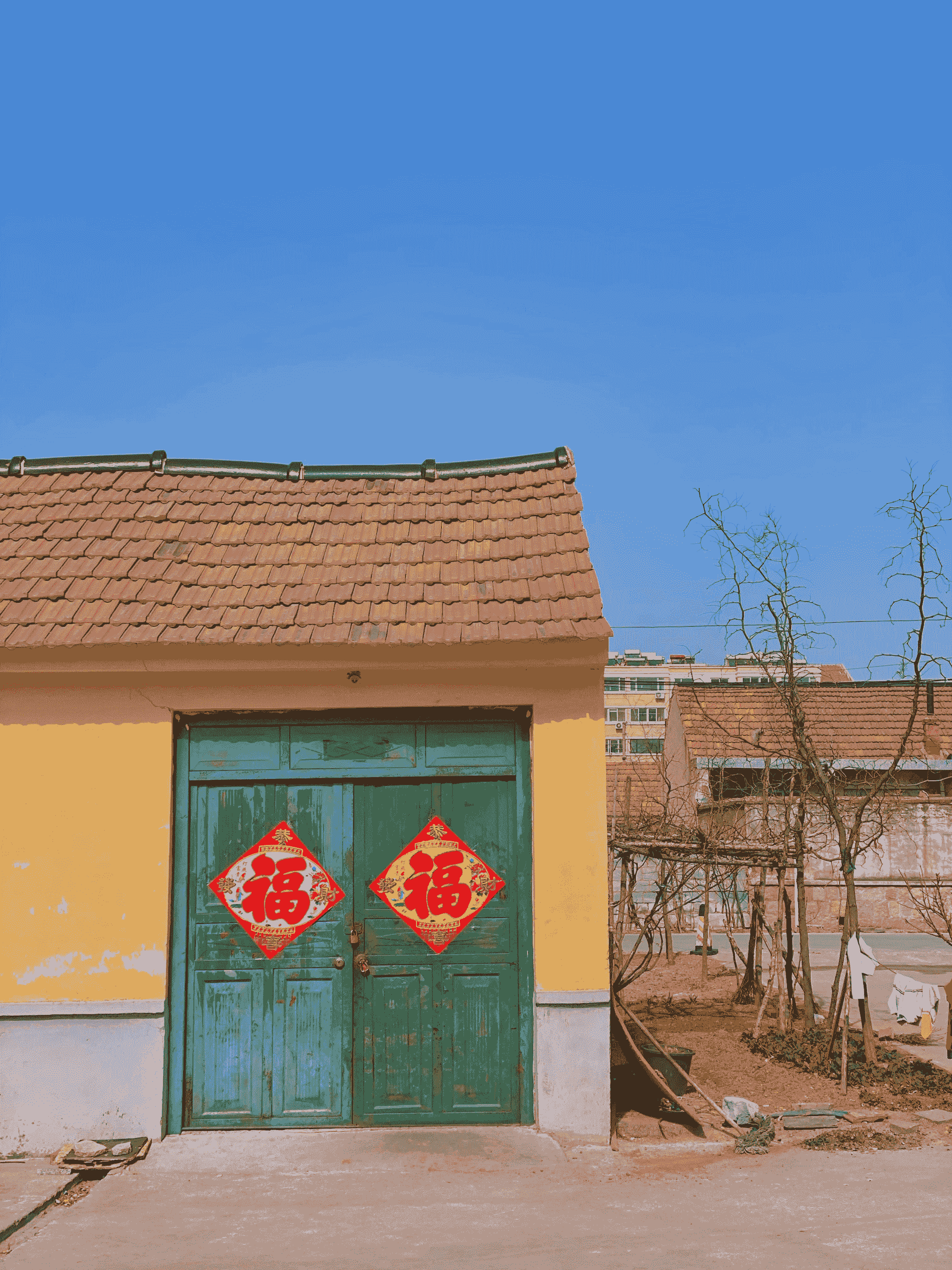Durable features of chinese prefab homes showcased against nature.