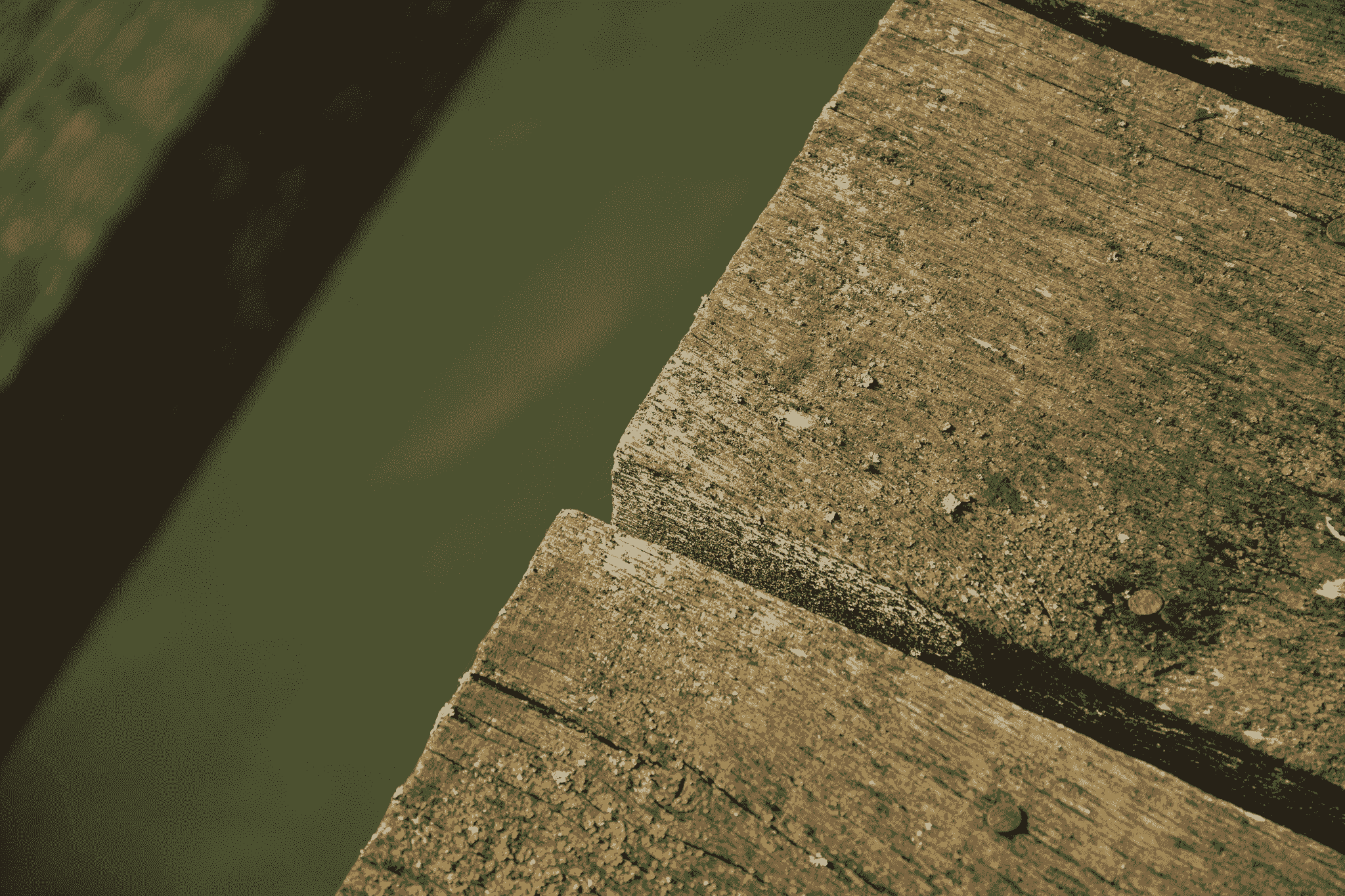 dirty deck with organic matter buildup