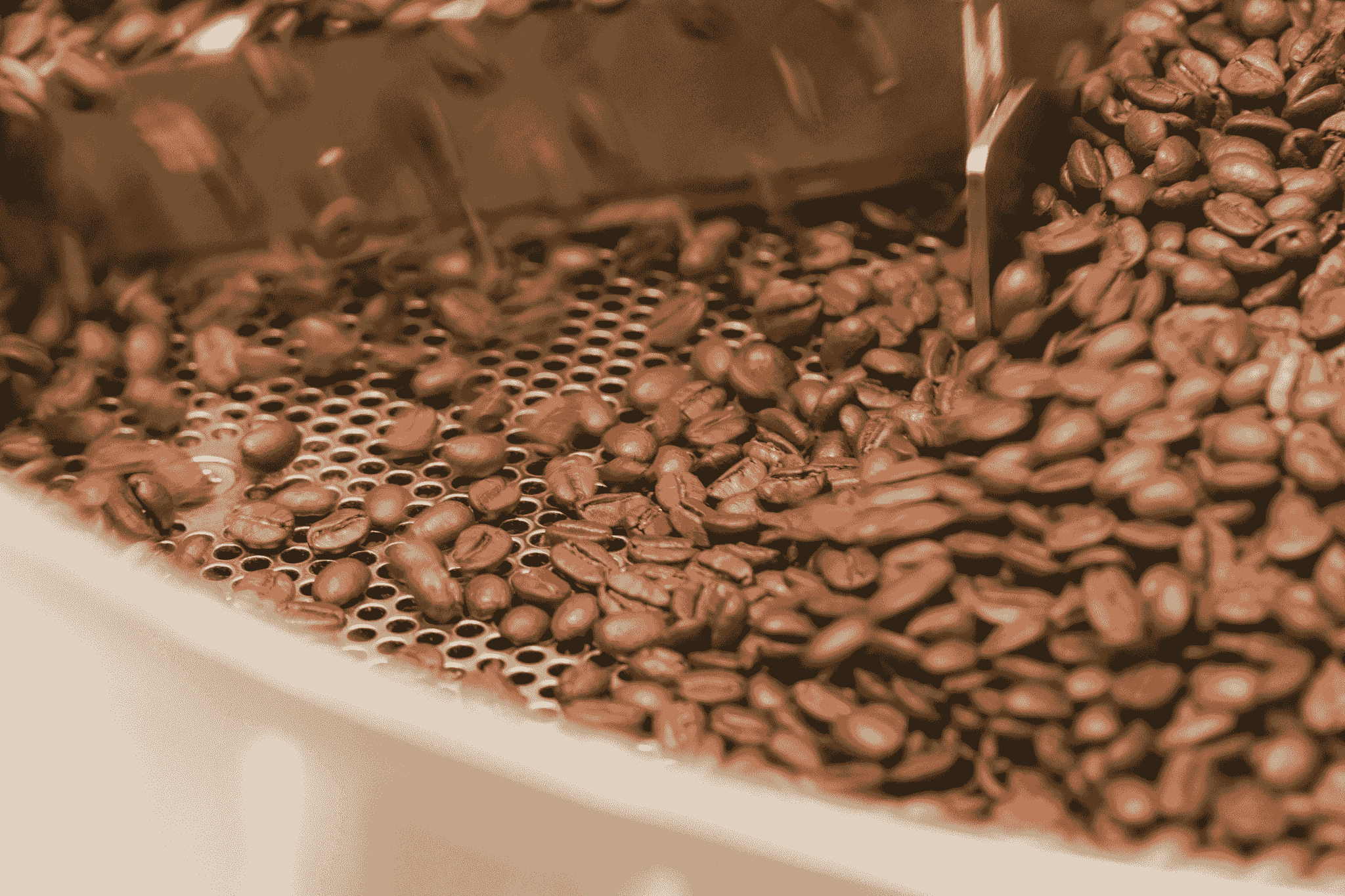 Instant Coffee: Spray Dried vs. Freeze Dried, What’s th...