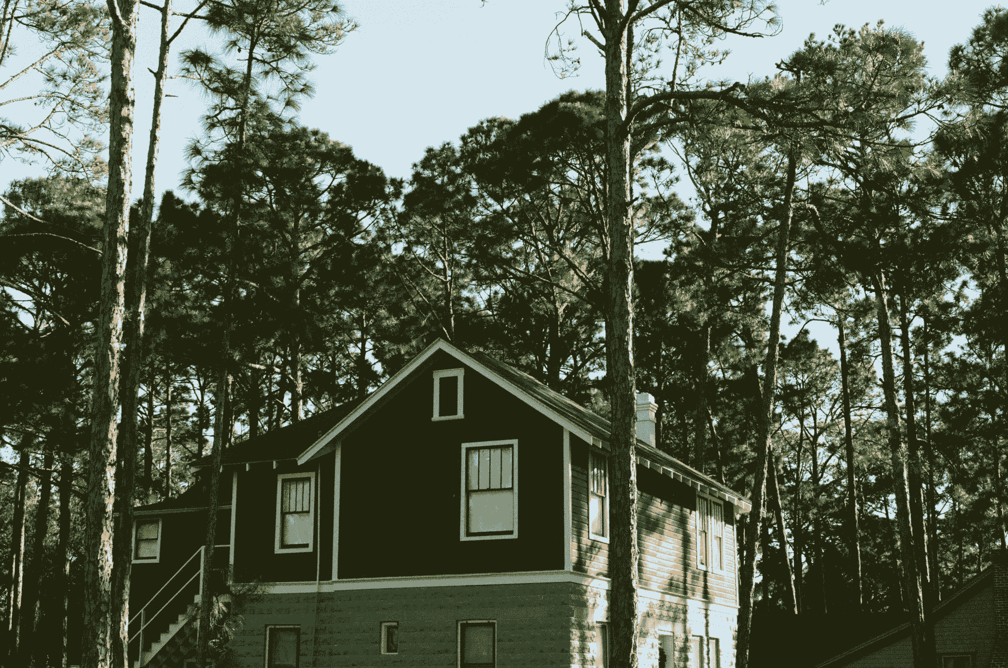 Quirky and eye-catching type of house structure embracing nature's surroundings