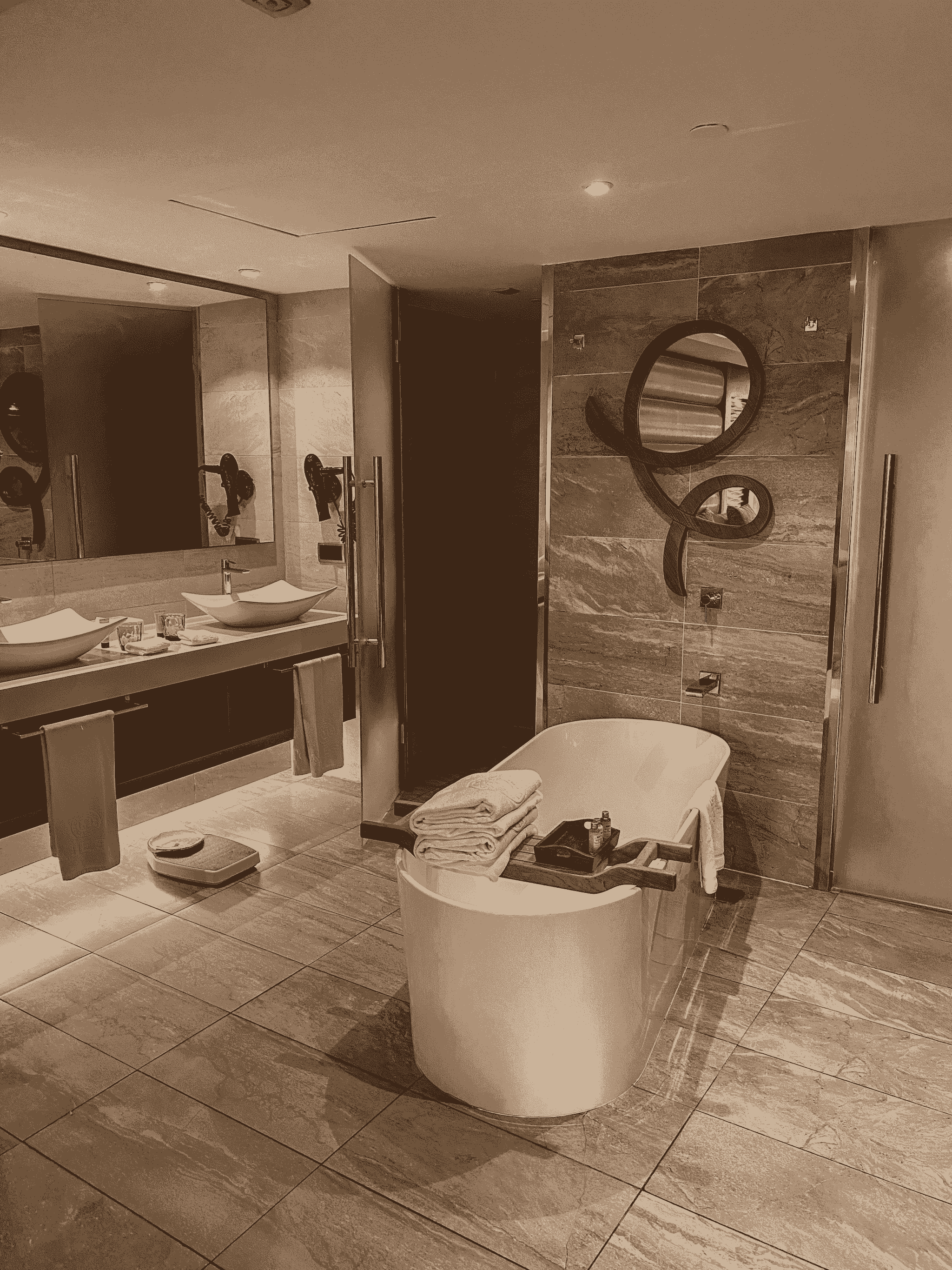 Luxurious bathroom features in manufactured homes for sale