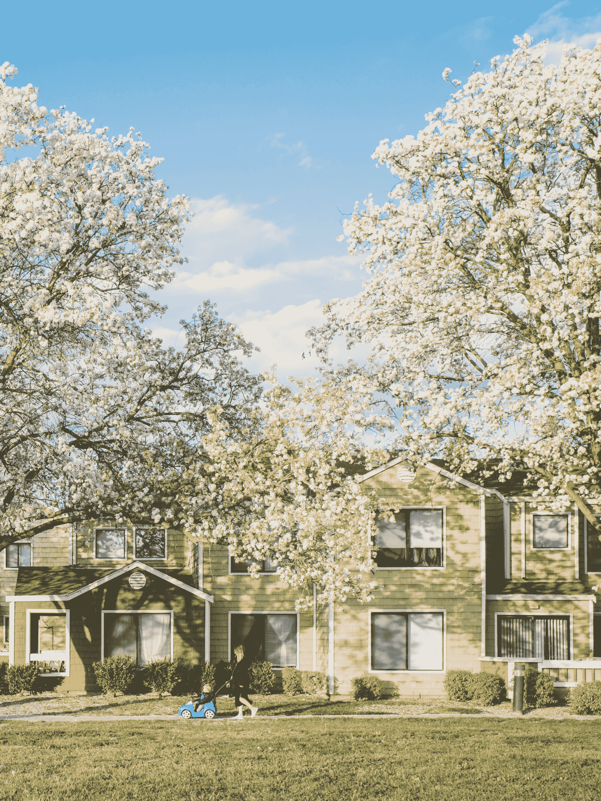 Mobile Homes for Sale - Safe and Well-Maintained Neighborhood