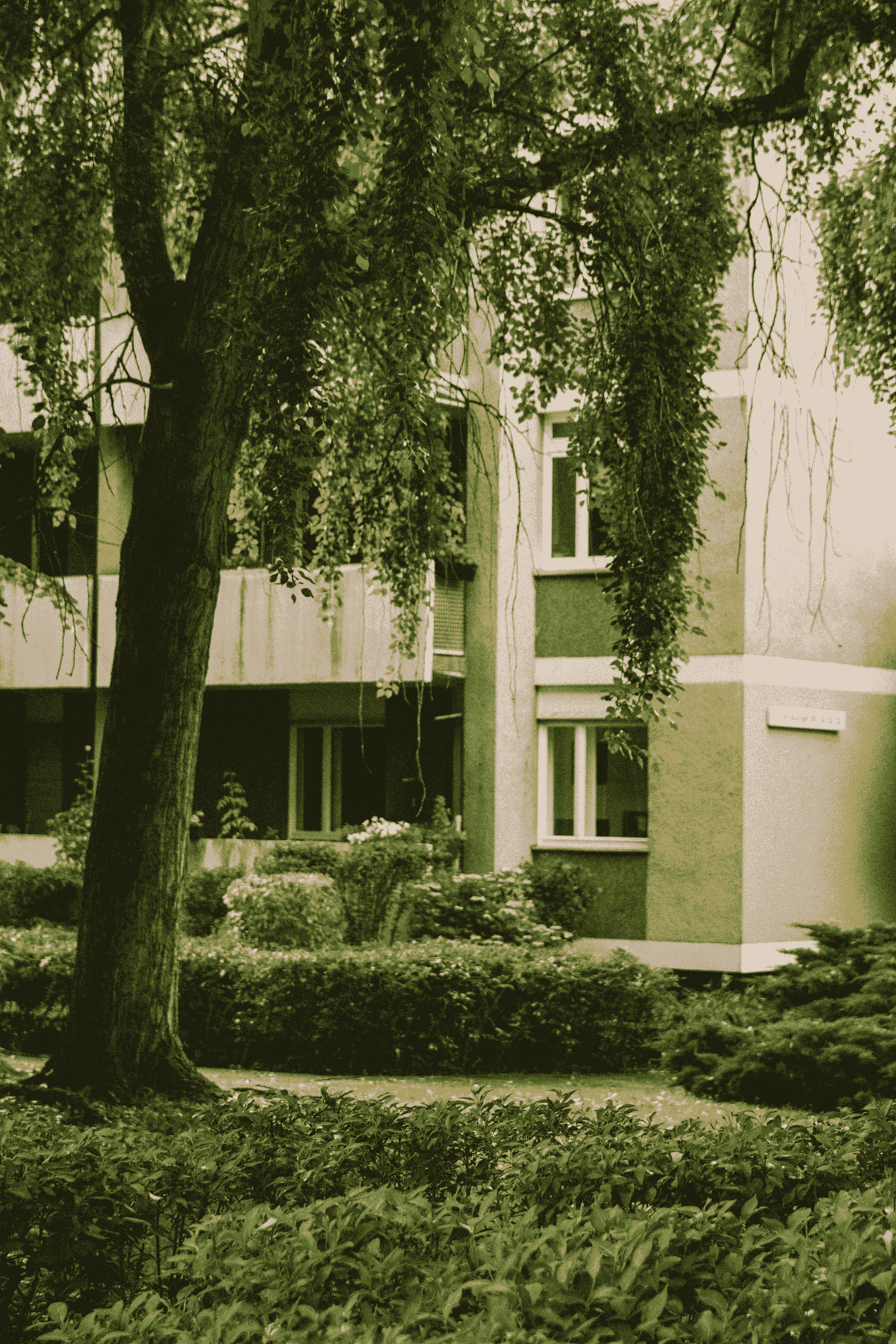 Modular Apartment Buildings - Eco-Friendly Design