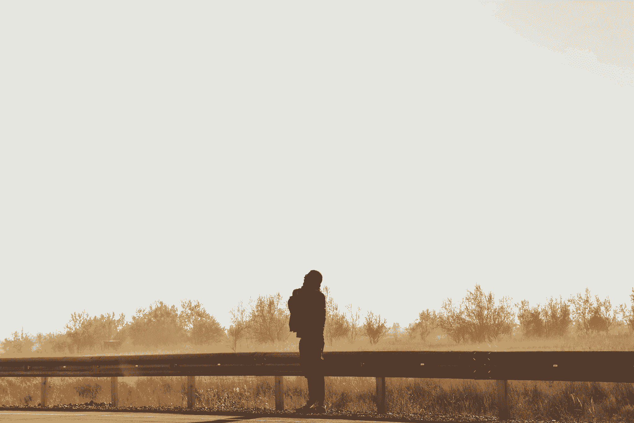 broken image