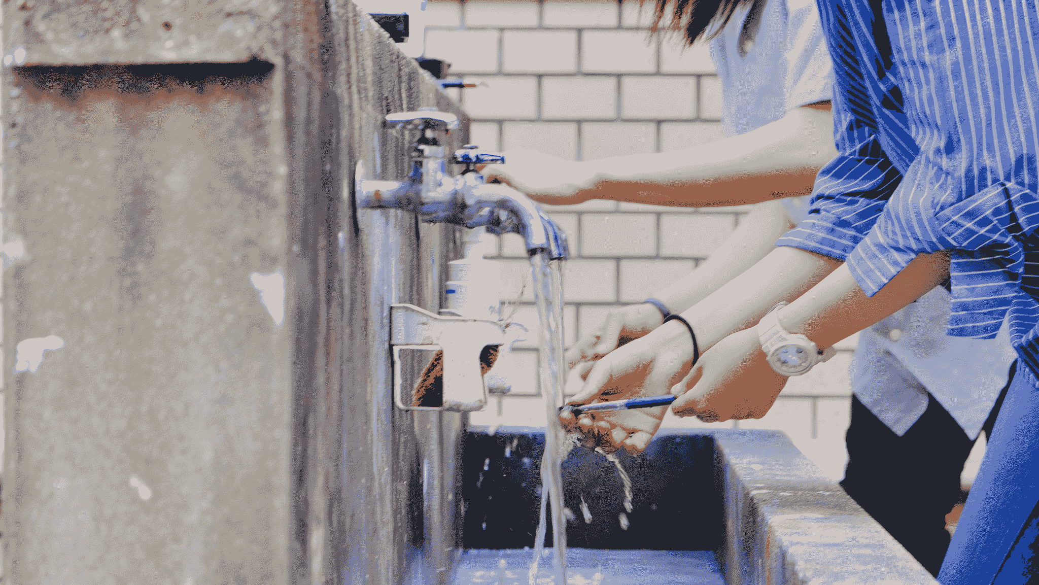 Portable bathroom hygiene stations at outdoor festival