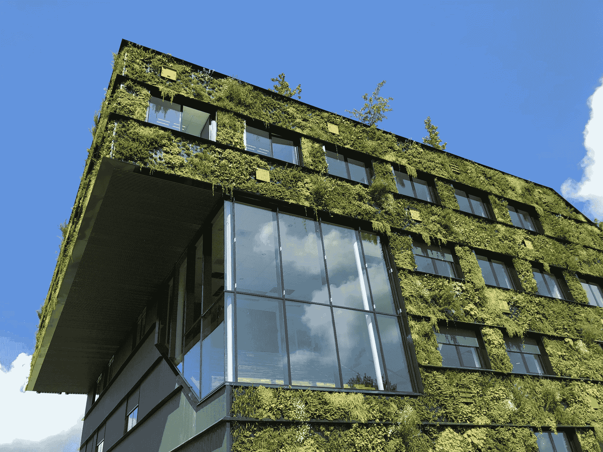 Eco-friendly prefabricated office surrounded by greenery