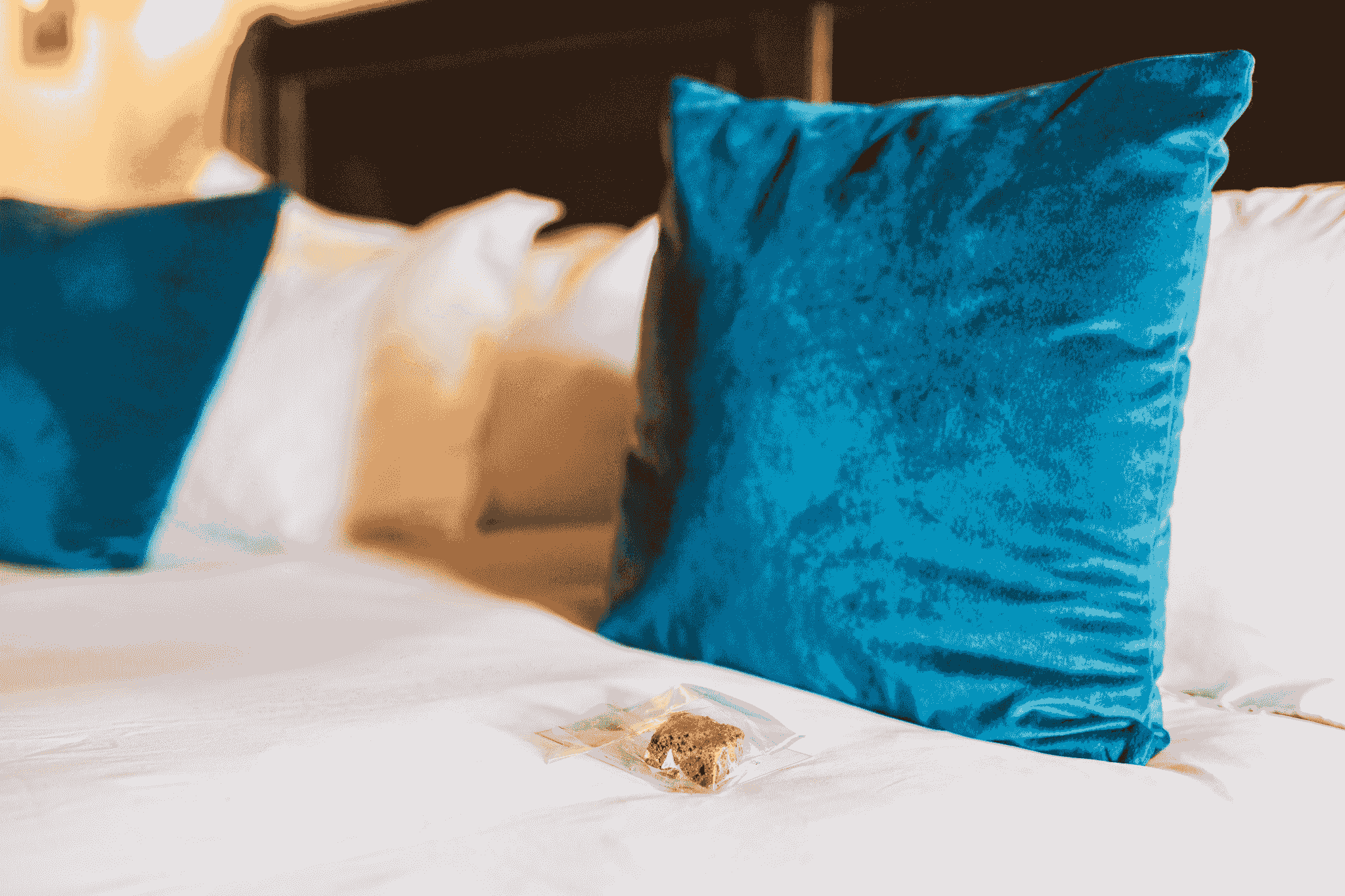 hotel supplies wholesale plush pillows