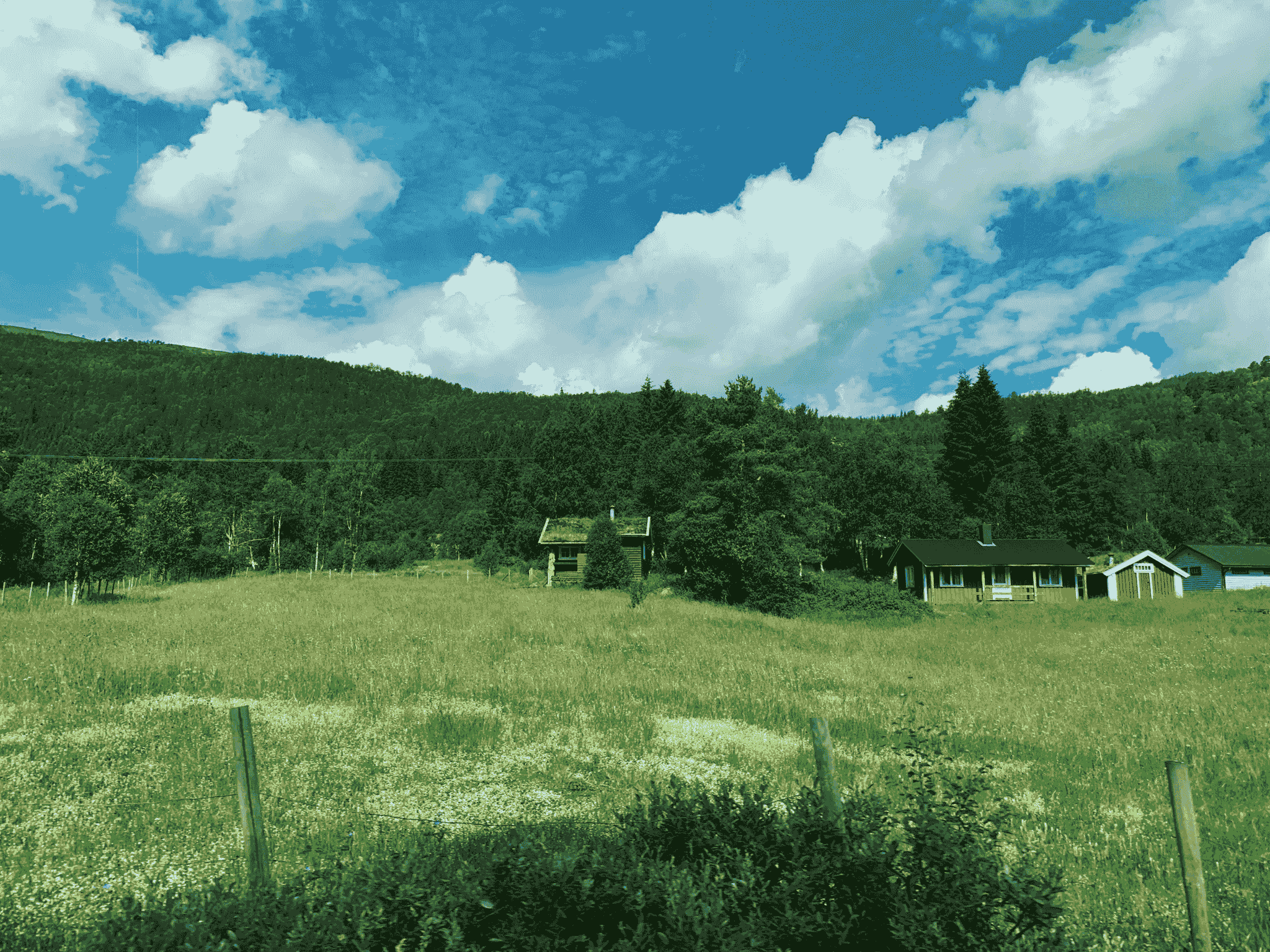 Section image