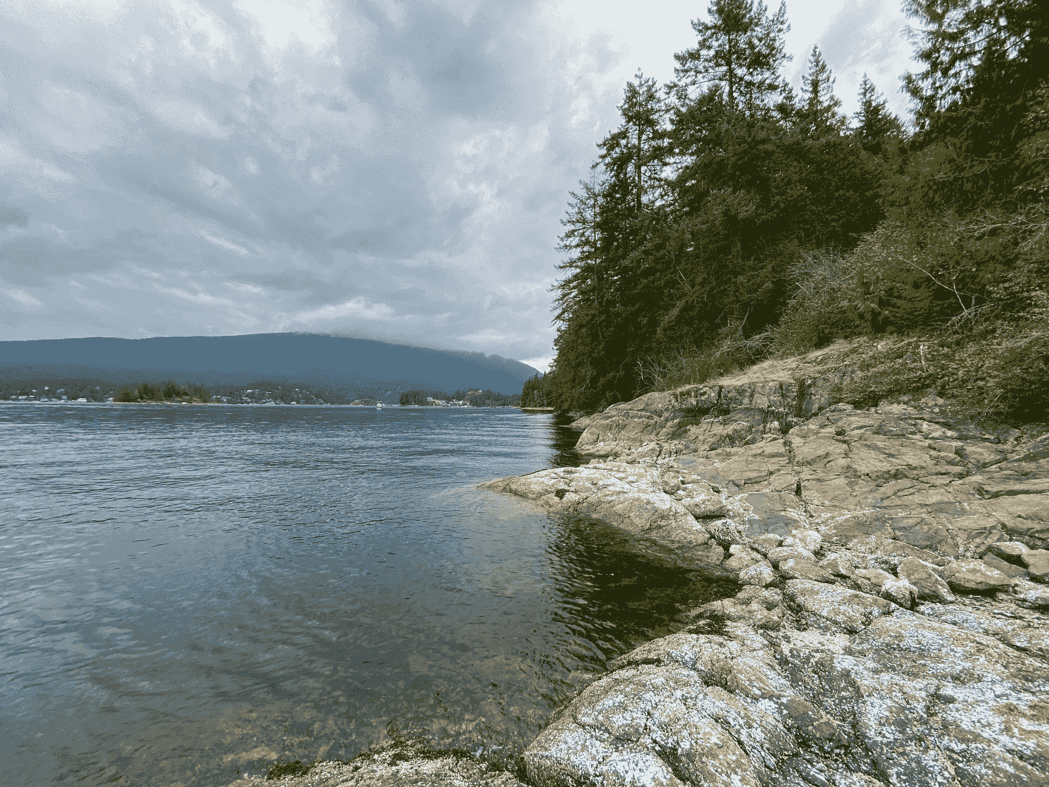 camping nature lot