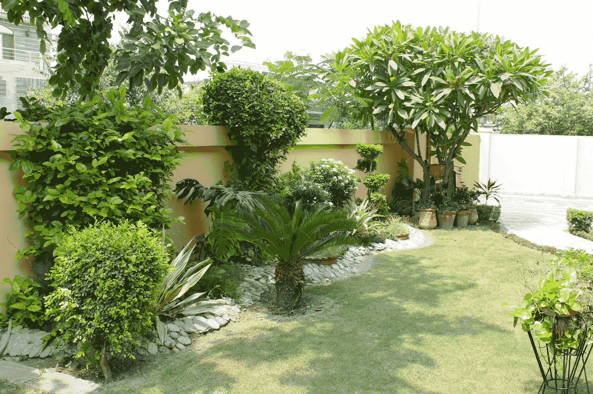 Section image