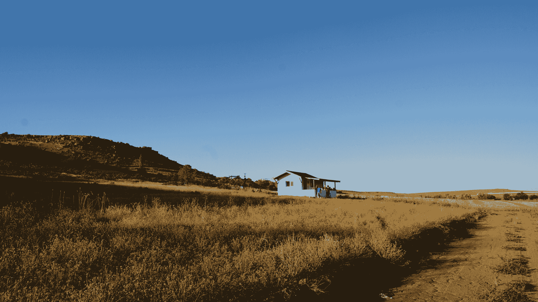 Section image
