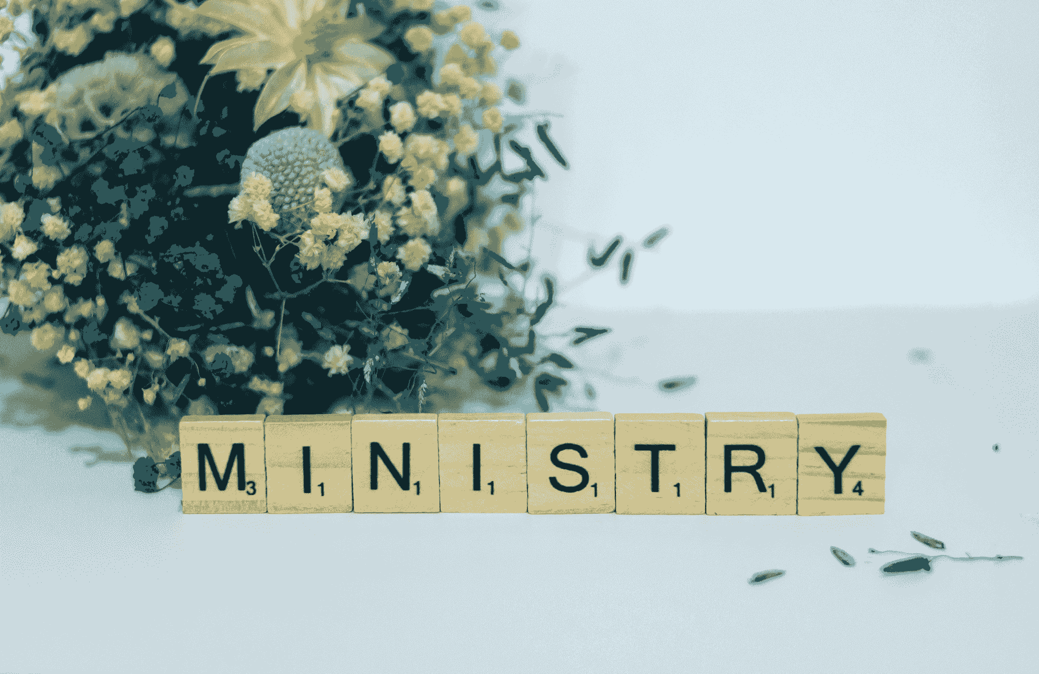 Our network fosters prophetic insight, helping members discern God’s direction and purpose for their lives and ministries. Prophetic Insight What We Offer Apostolic and Prophetic Network