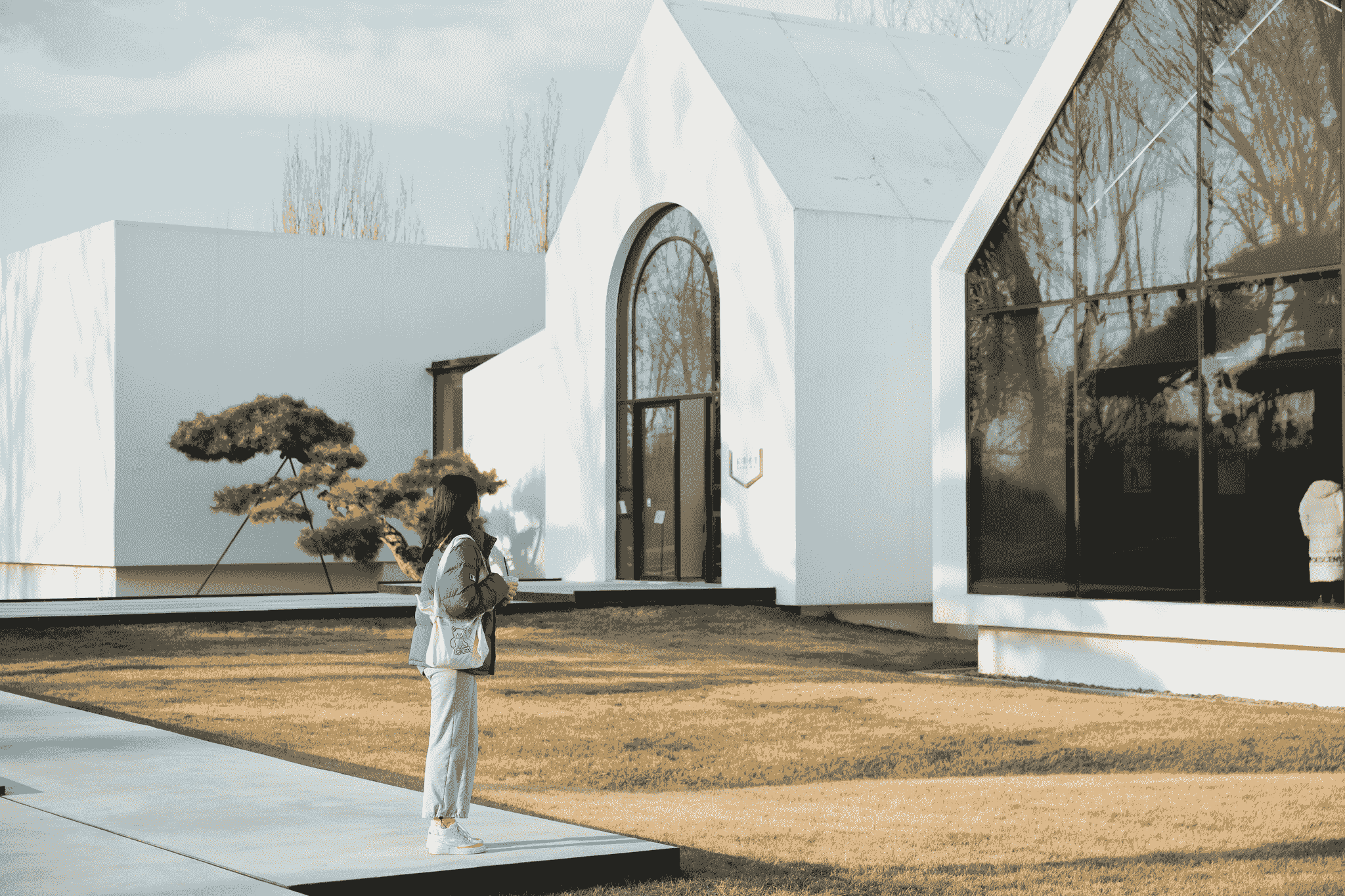 Chinese modular home with solar panels