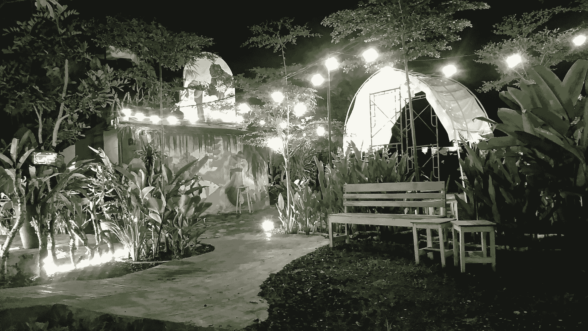 Outdoor entertainment space at shipping container bar