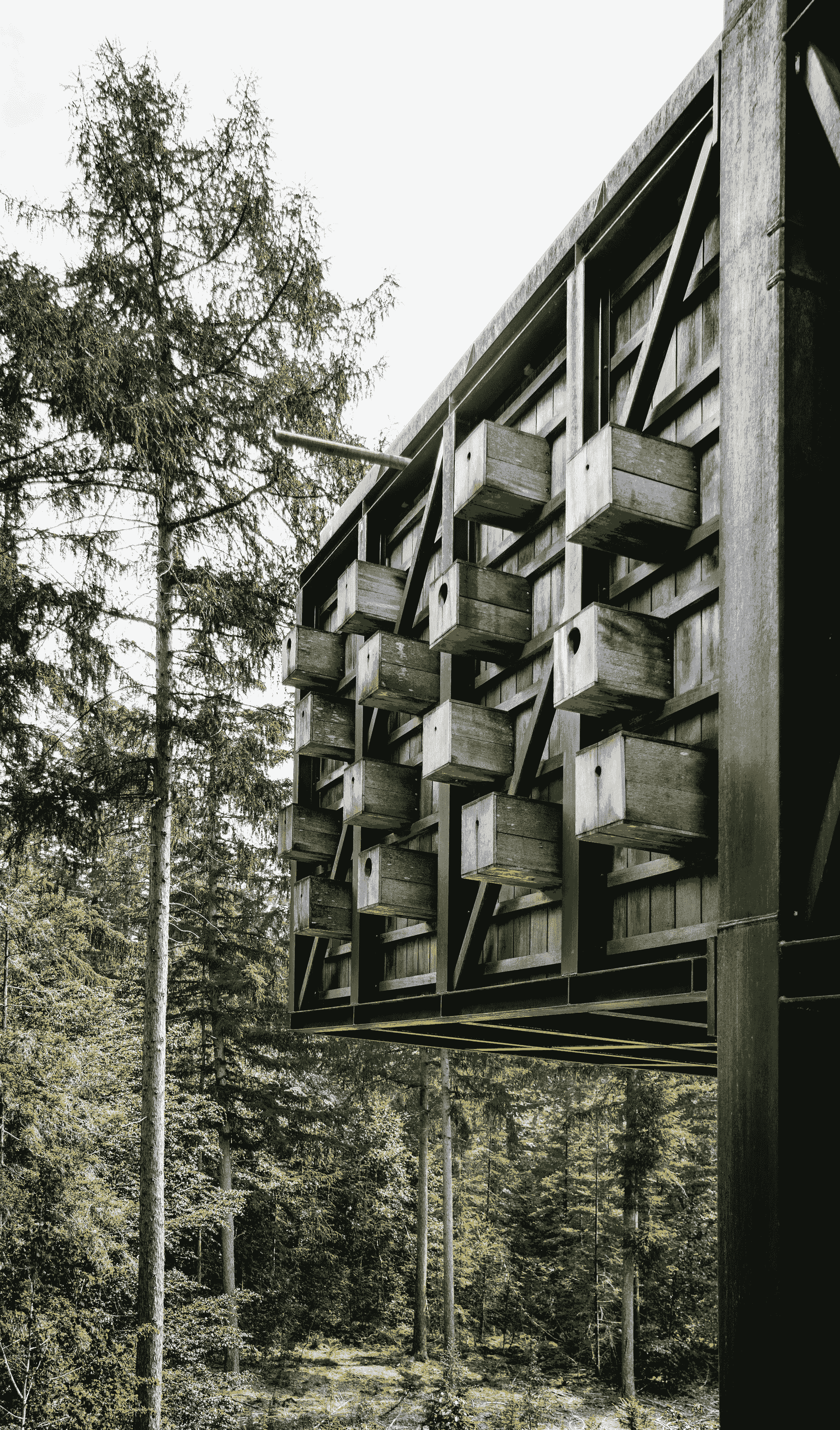 how much is a capsule house options available
