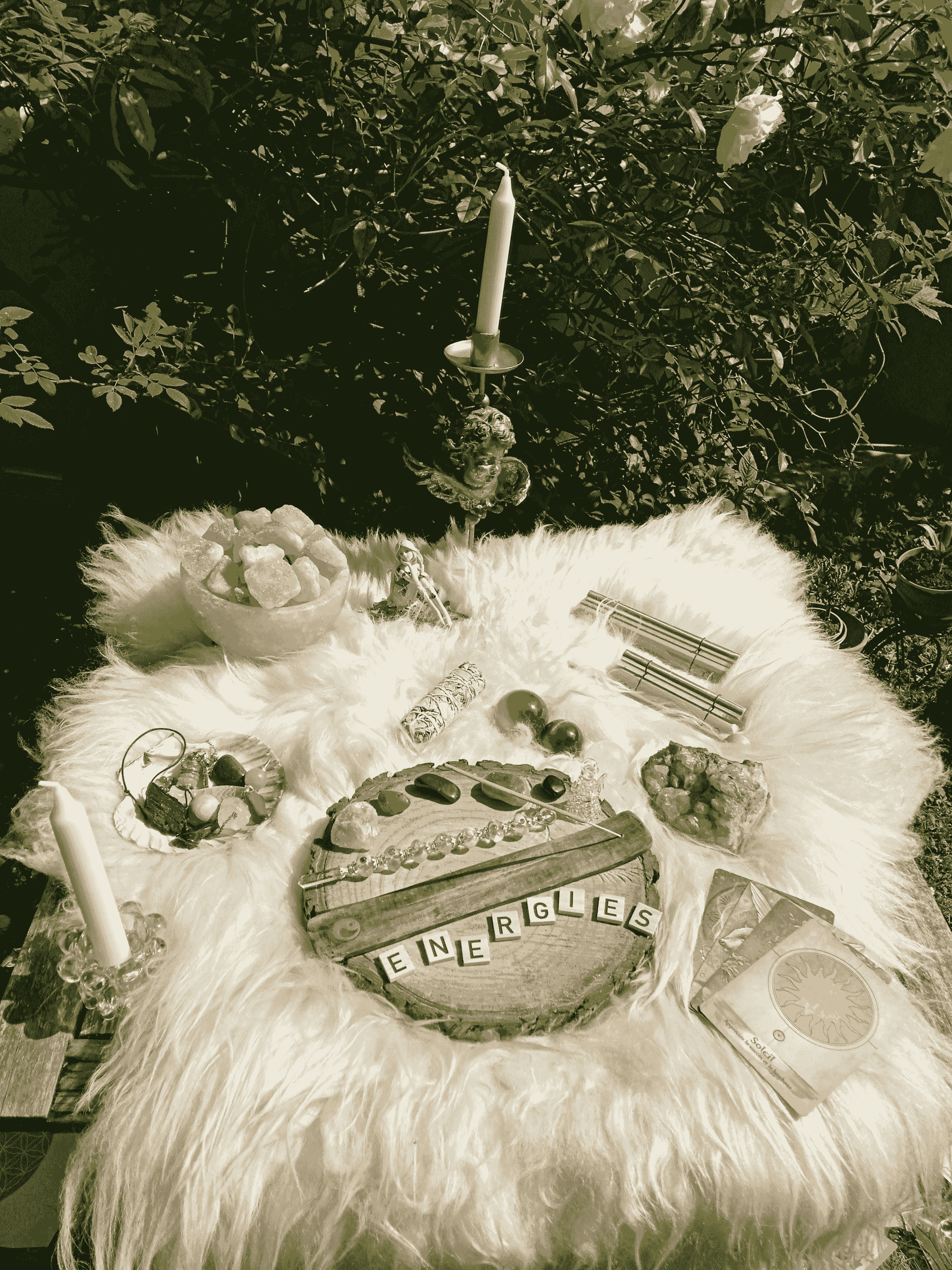 Section image