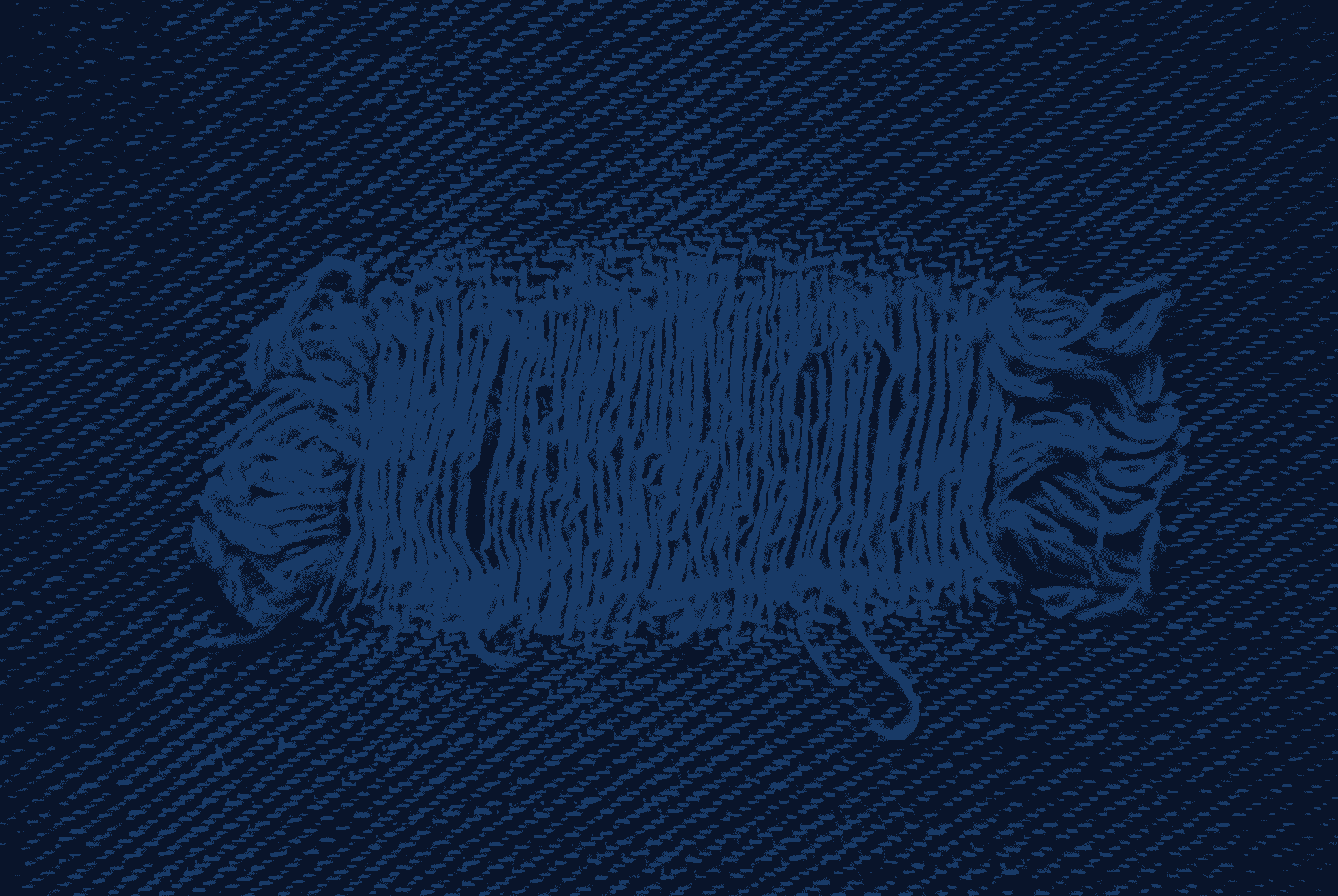 Top 5 Fabric Defects Buyers Should Know (with Photos)