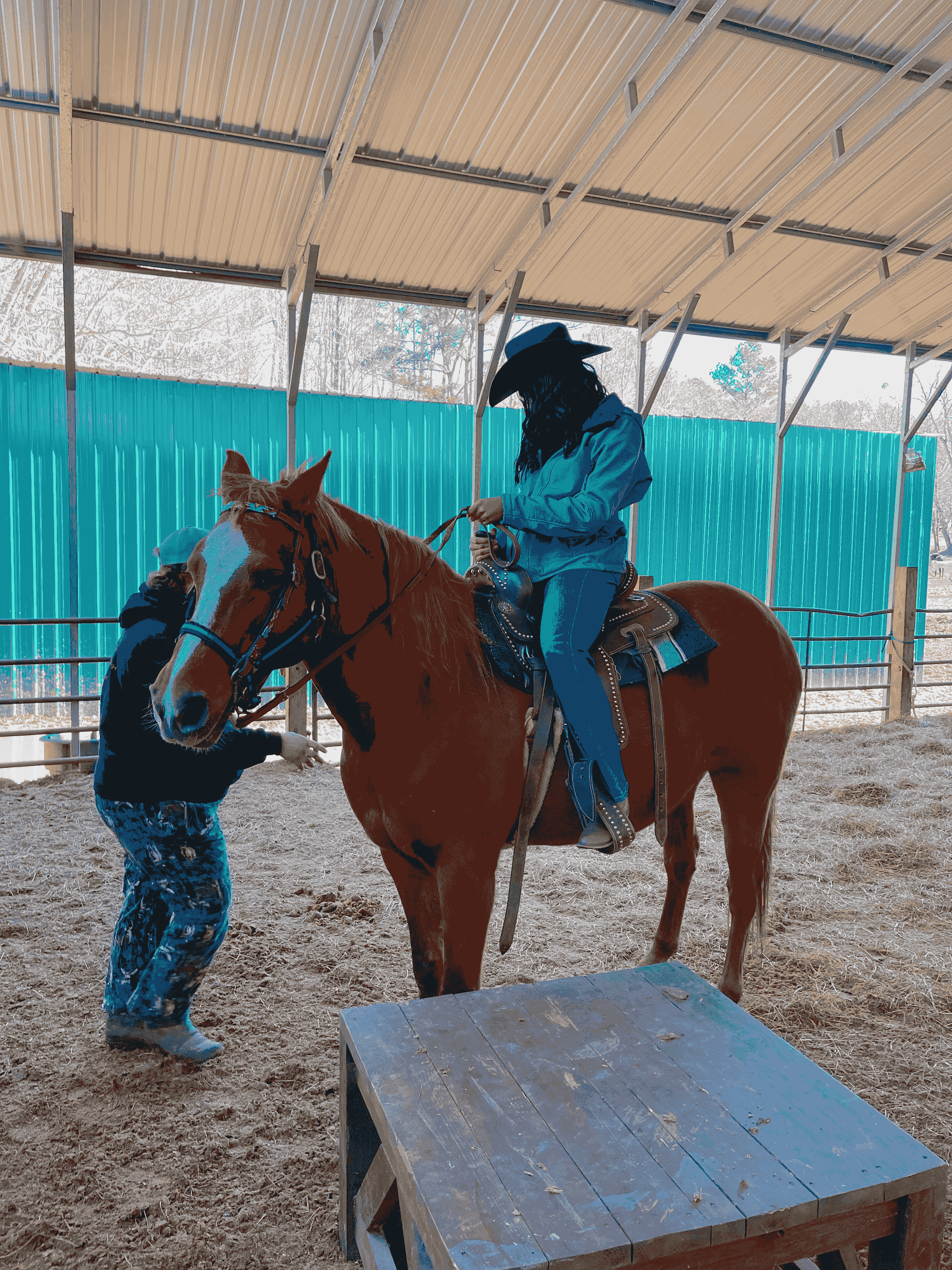 Riding Lessons