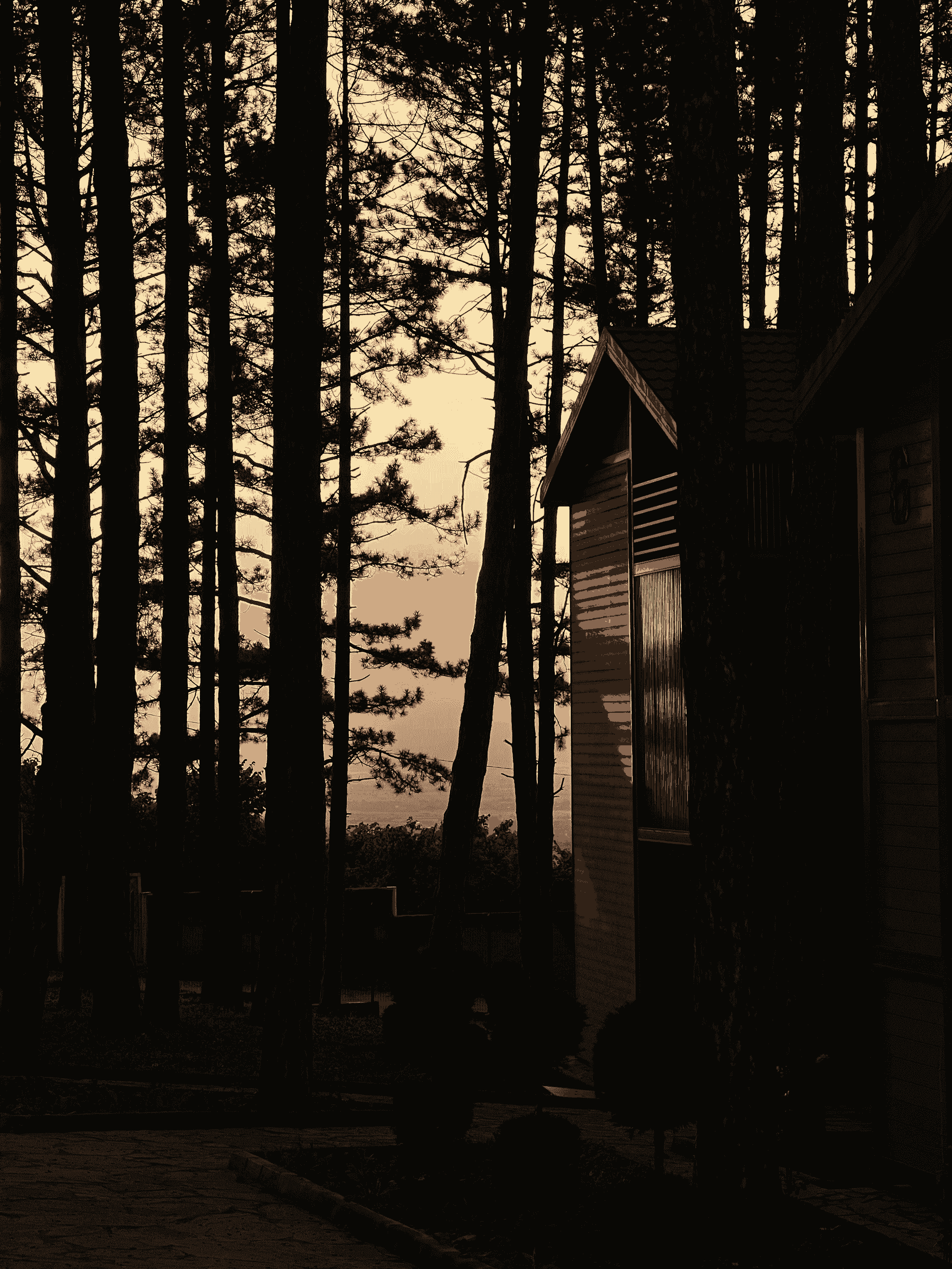 apple hollow cabins offering serene views and rustic charm