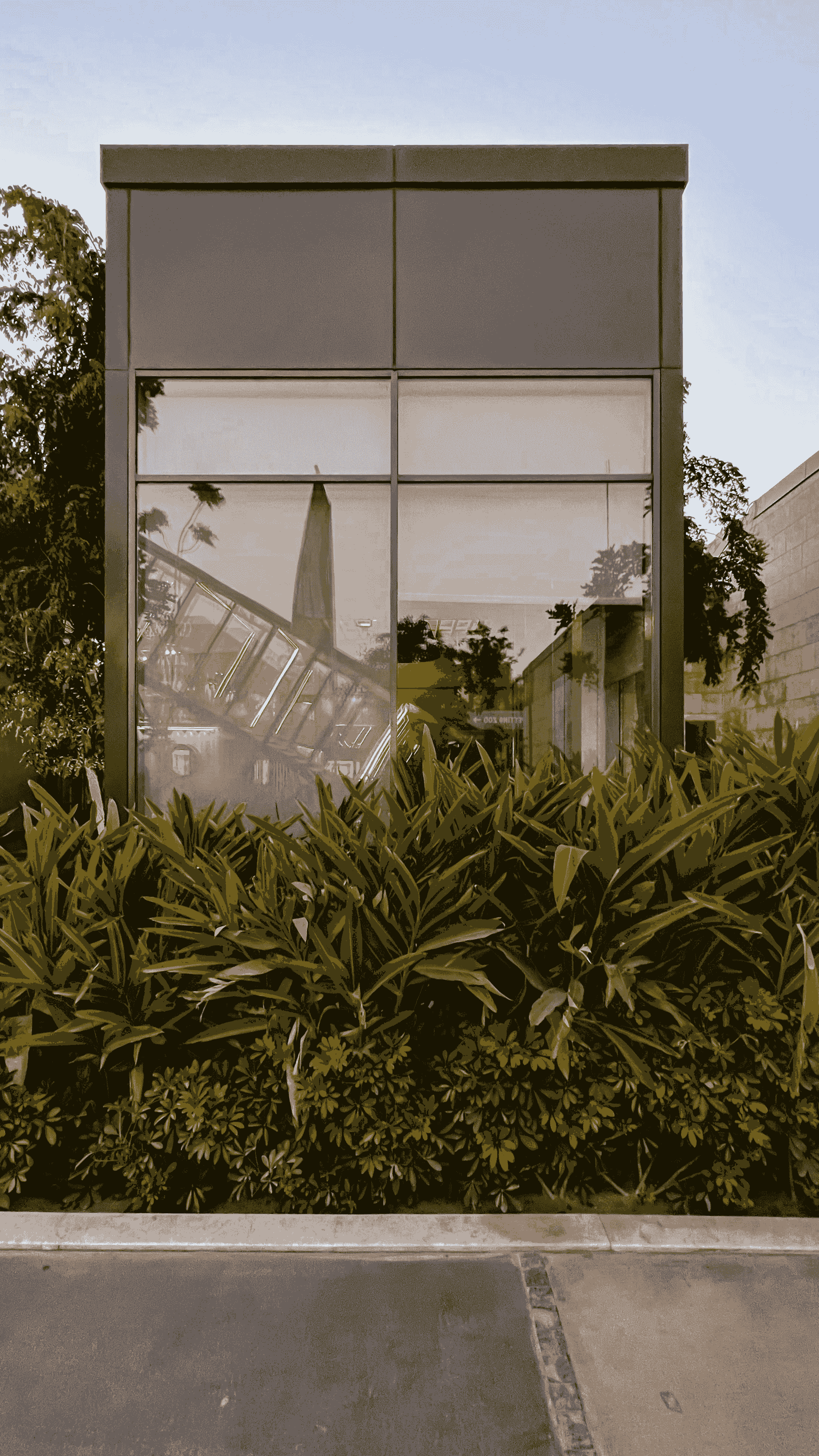 Shipping container mansion with green roof surrounded by vegetation