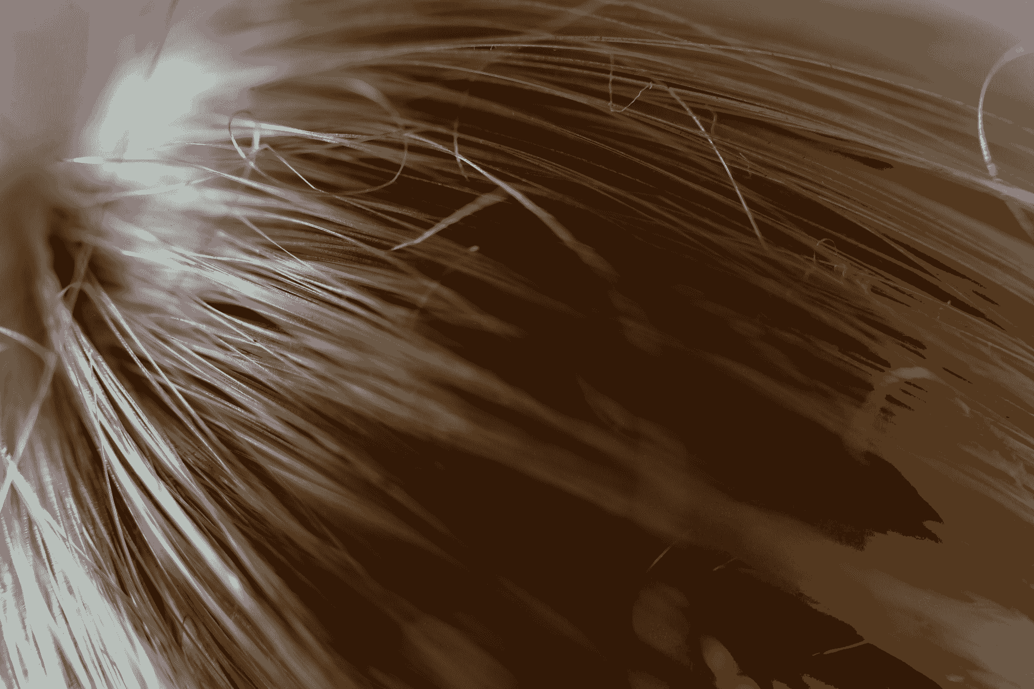 coarse hair vs medium hair comparison showing various textures