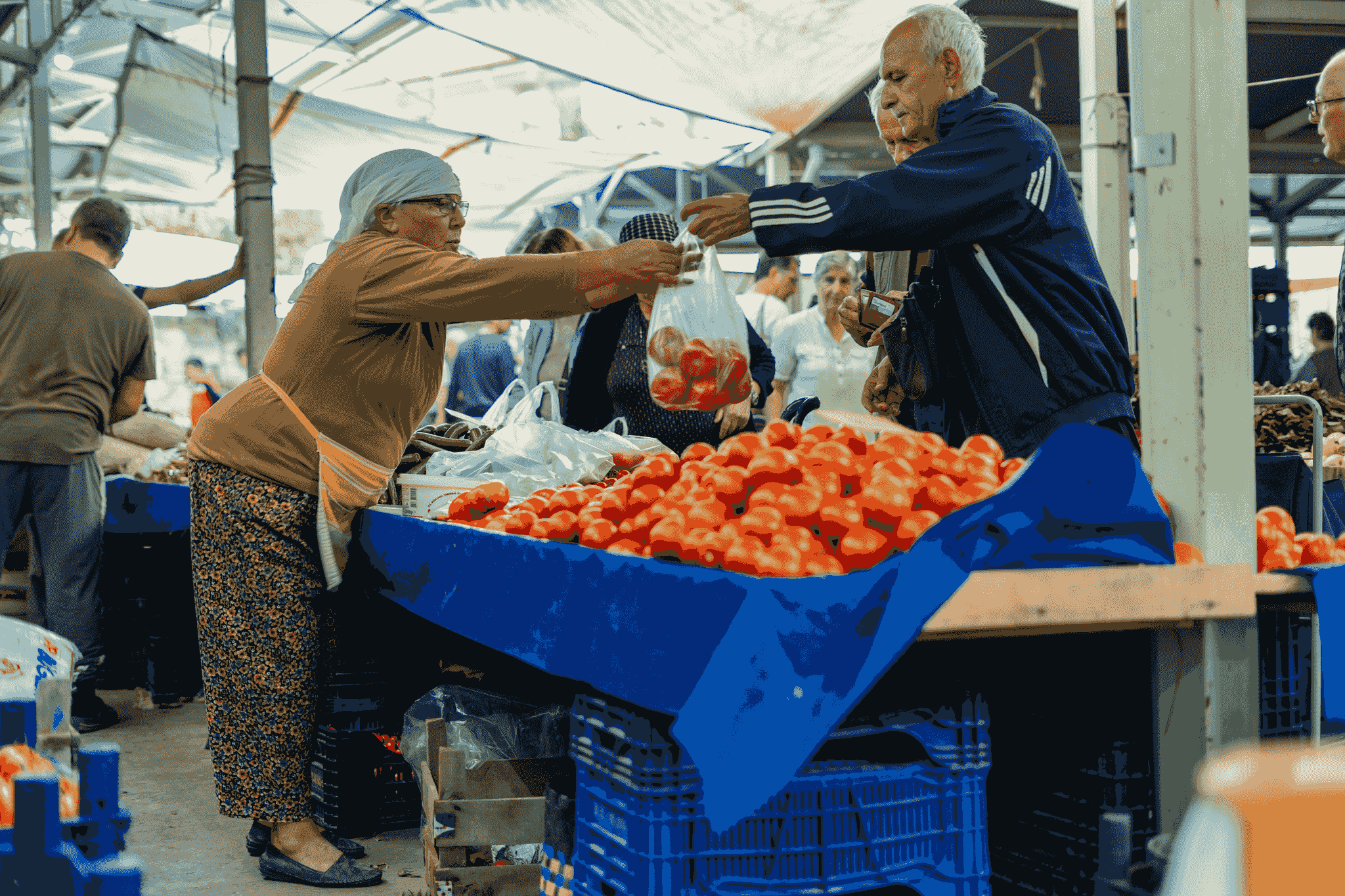 Trusted B2B Online Marketplace for International Trade