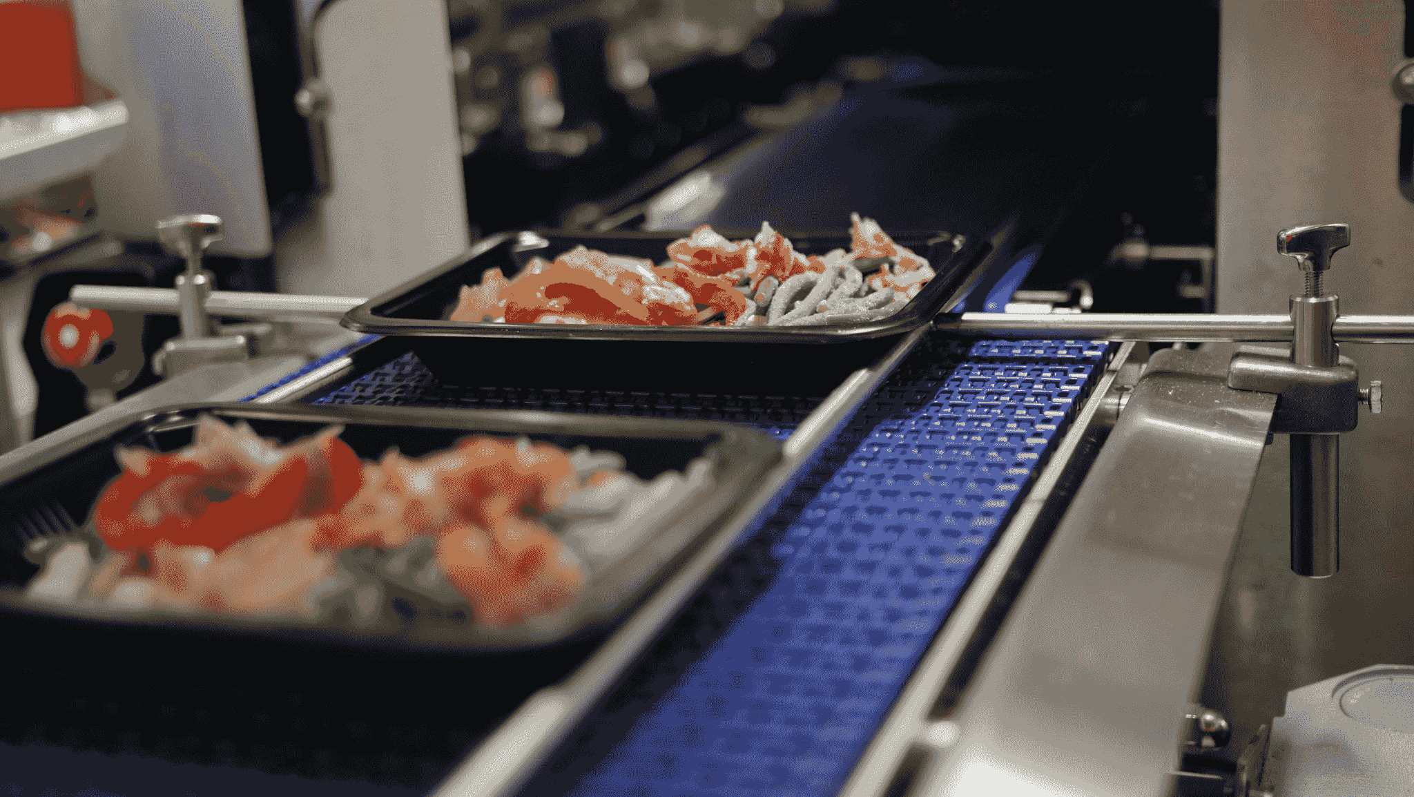 Food Quality Checking: 7 Key Steps for Success