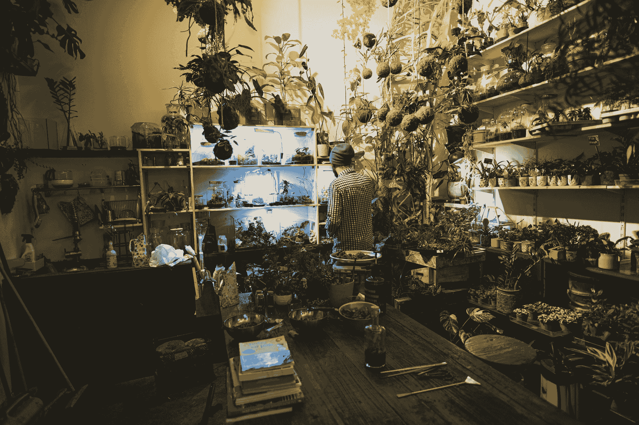 Inside Container Homes Indoor Garden
