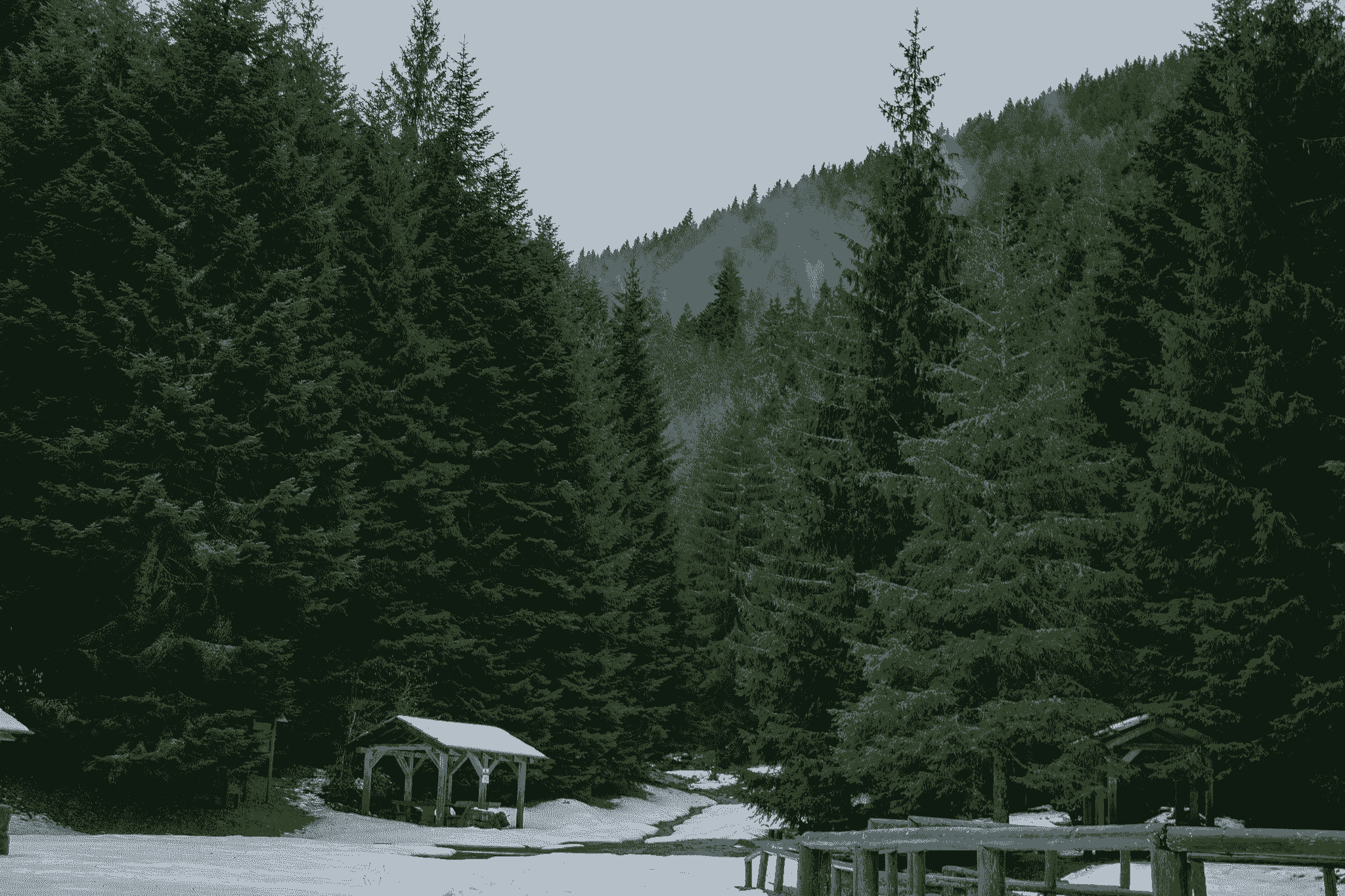 Escape to Tranquility at Apple Cabin