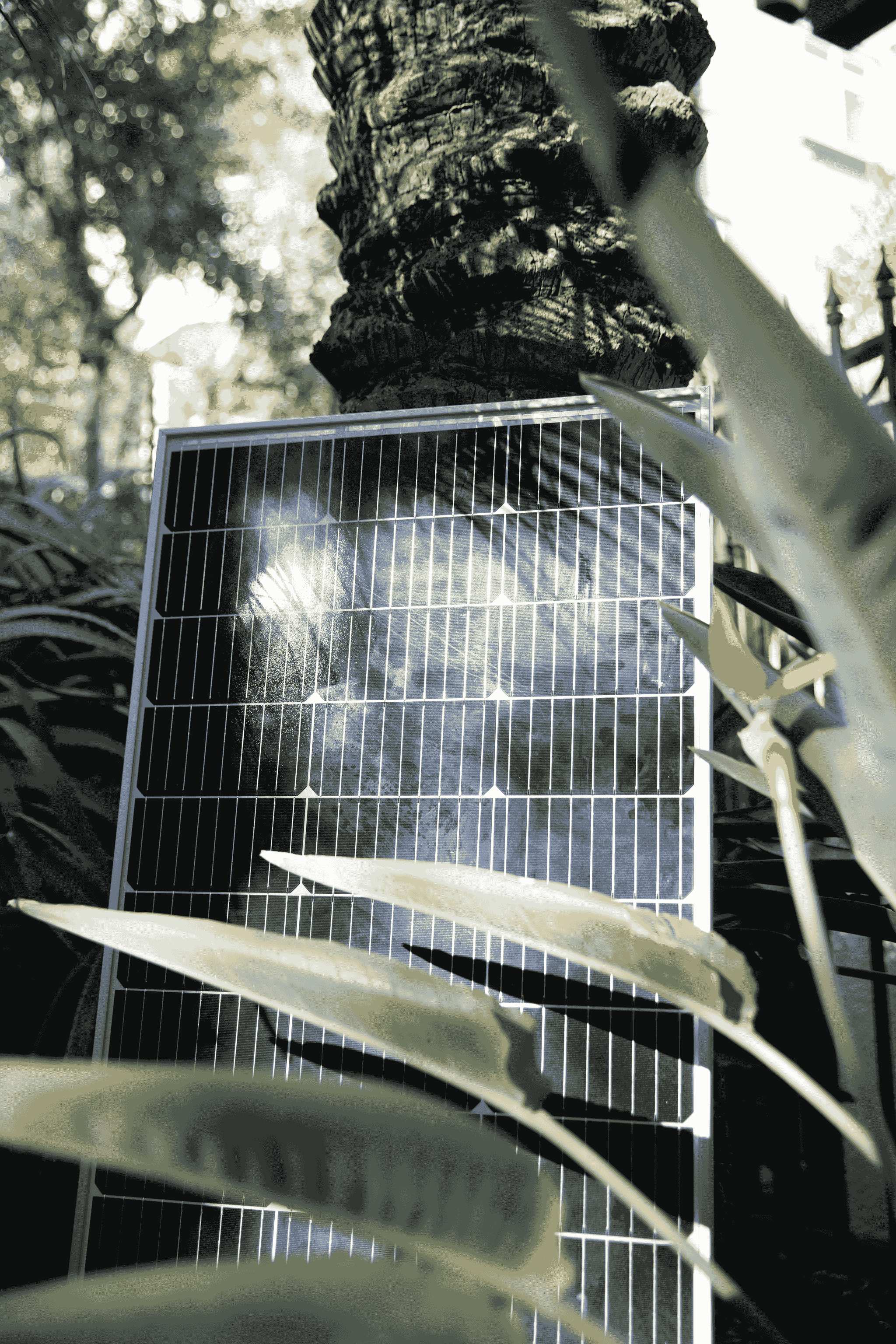 heat pump manufacturers leading the way in sustainable solutions