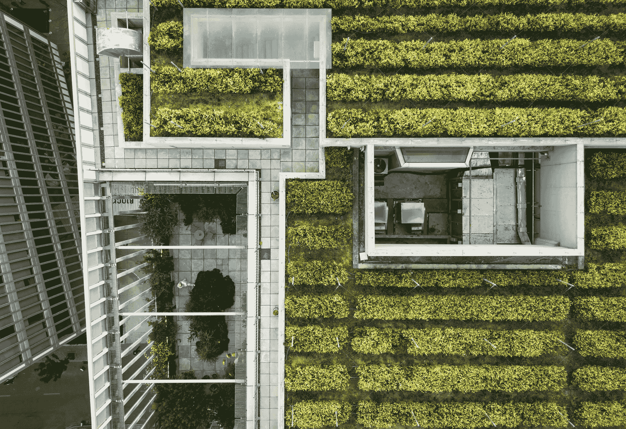 Green roof and vertical garden in a sustainable capsule home