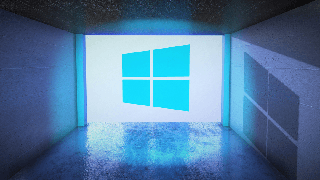 Windows 10/11