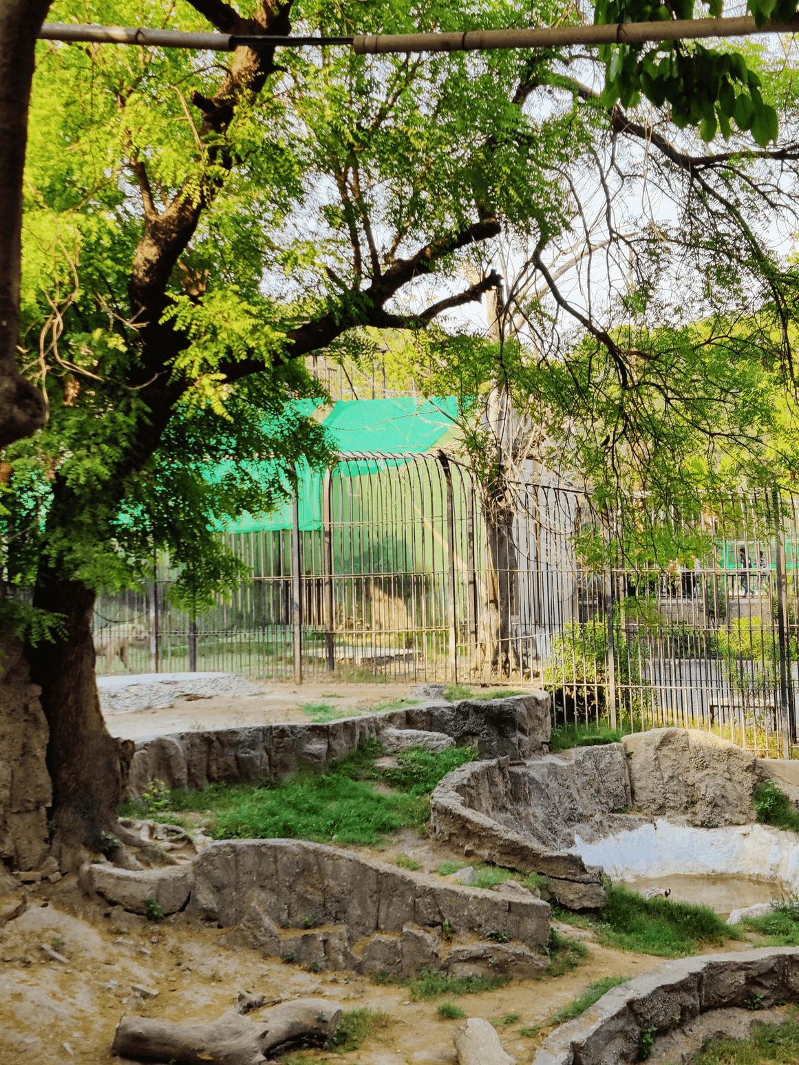 Your premier destination for wildlife conservation and education Welcome to Sunshine Zoo Sunshine Zoo