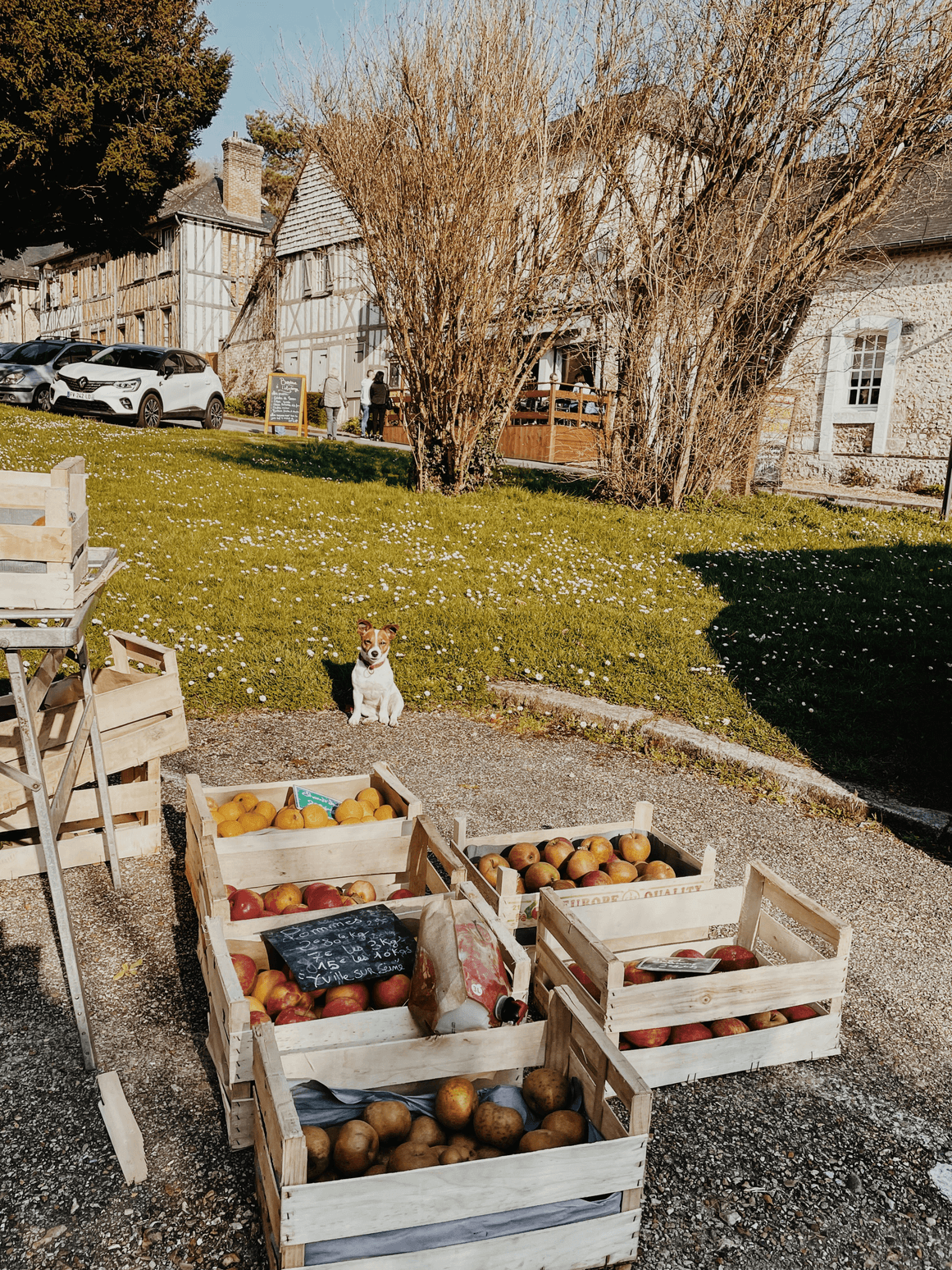 We provide professional pet supplies and services in Elkwey Robert Smith Pet Store Robert Smith Pet Store, located at 2500 Green Valley Dr, Elkview, WV 25071, offers a wide range of quality pet supplies, healthy food, and caring services. We are dedicated to supporting pet owners with reliable products and friendly assistance, ensuring every pet lives a happy and comfortable life.