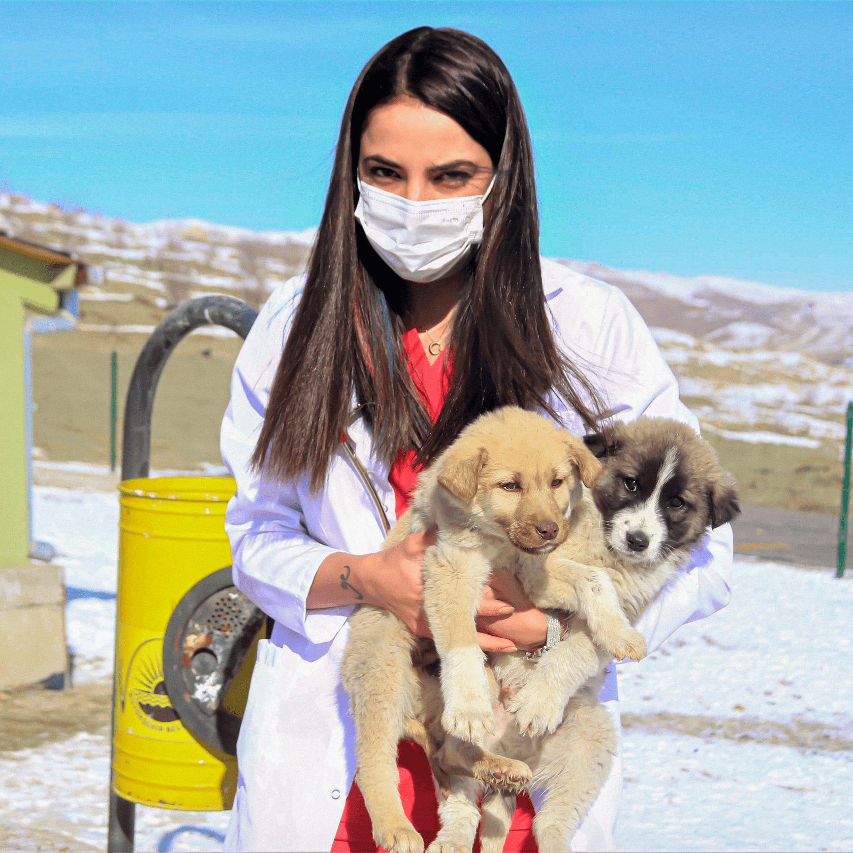 At PawCare Animal Hospital, we prioritize the health and happiness of your pets through expert medical care and compassionate support. Our dedicated team ensures that every pet receives personalized attention and the highest standard of veterinary services. 
PawCare
Veterinary Services
 We are a comprehensive pet medical institution that emphasizes both professional medical care and humanistic care. We are committed to providing pets with scientific, standardized, and trustworthy medical services, and to offering pet owners peace of mind and companionship.

We believe that true medicine is not only about technology, but also about responsibility and patience.