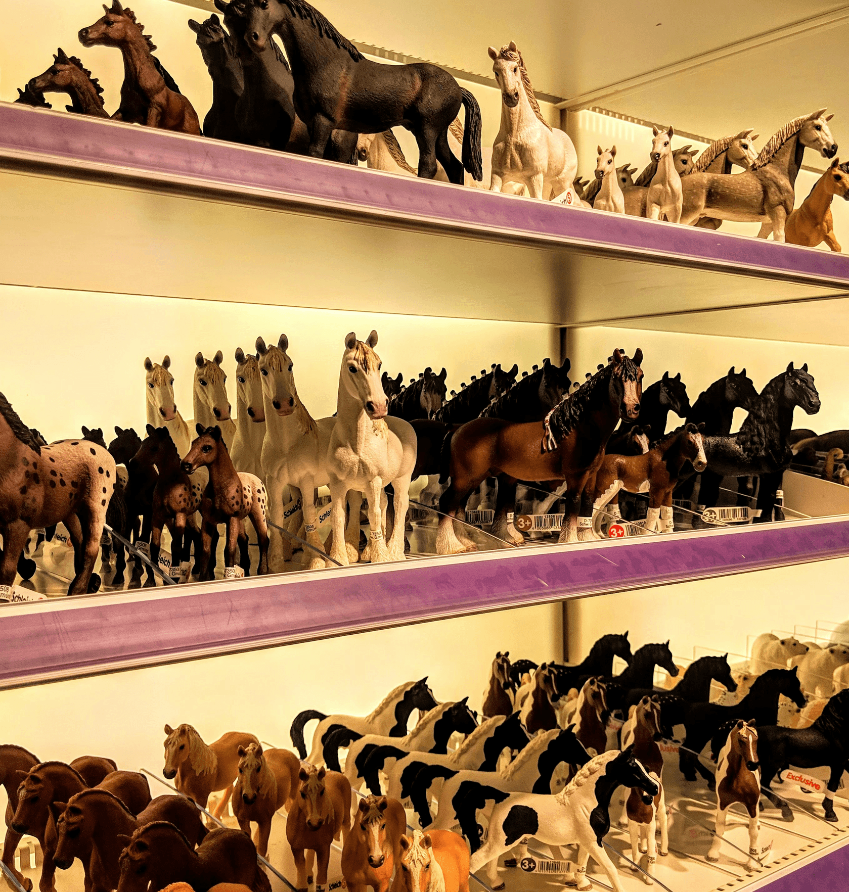 At Lucas Morgan, we believe that every pet deserves the best. Our commitment to providing premium pet food, toys, and care products ensures that your furry friends enjoy a happy and healthy life. Trust our knowledgeable staff to guide you in choosing the right products for your beloved pets. 
Quality
Supplies
 Lucas Morgan Pet Supplies
Located at 7776 E Riverdale Ave, Laton, CA, we provide high-quality pet food, toys, and care products. Our friendly staff is dedicated to keeping your pets happy and healthy. Visit us for expert advice and top-notch products for all your furry friends!