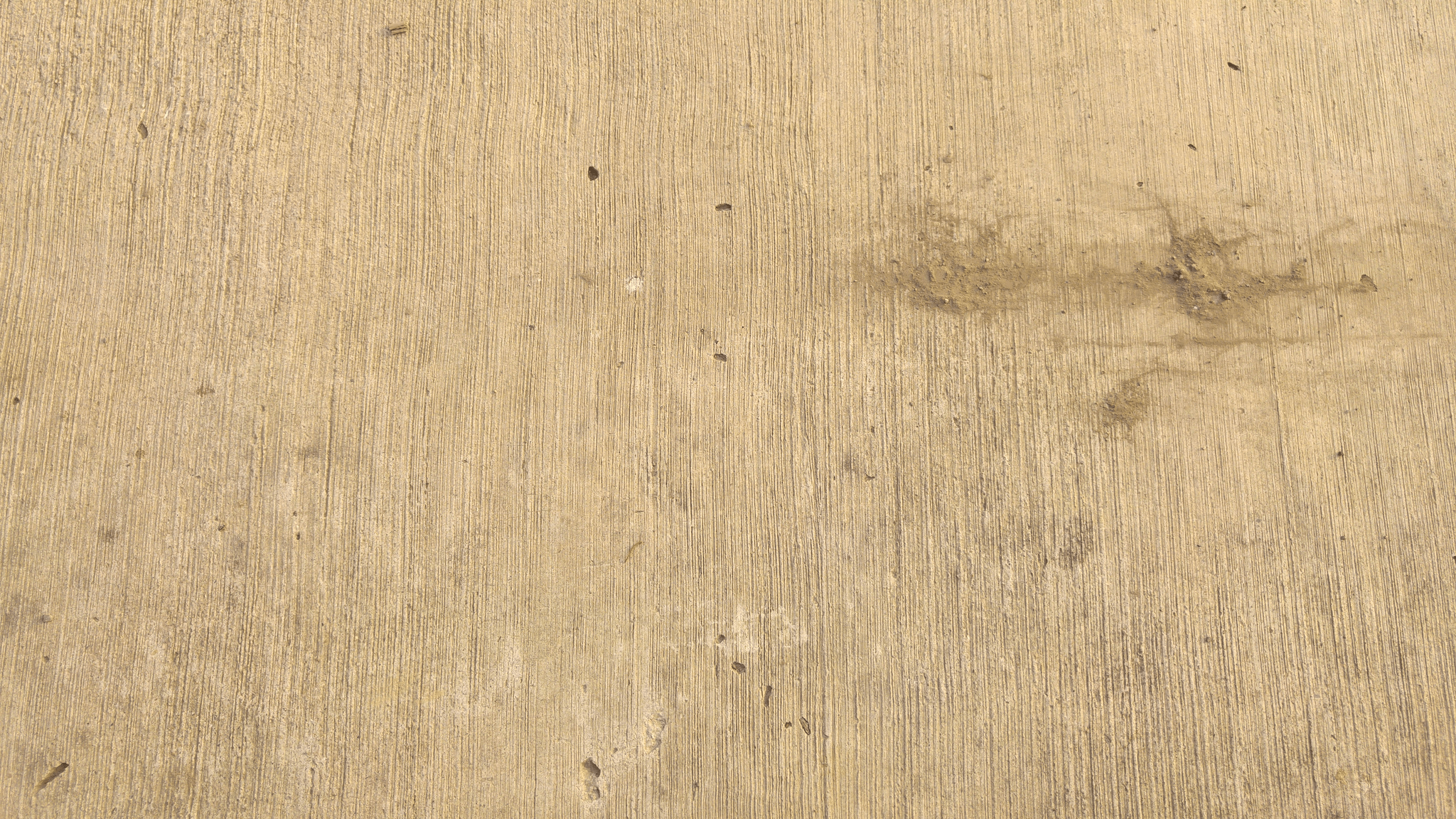 WPC or SPC Flooring comparison chart focusing on durability