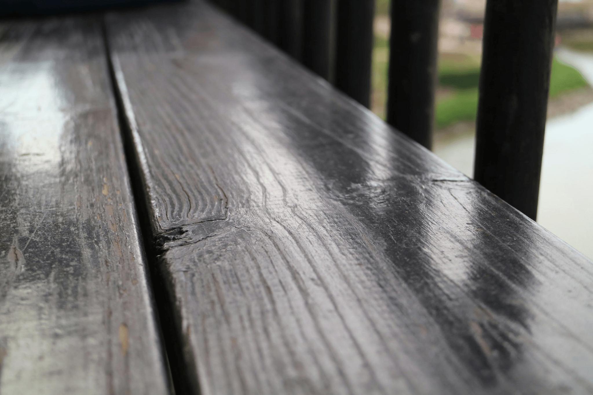 cedar vs ipe decking visual comparison showcasing differences