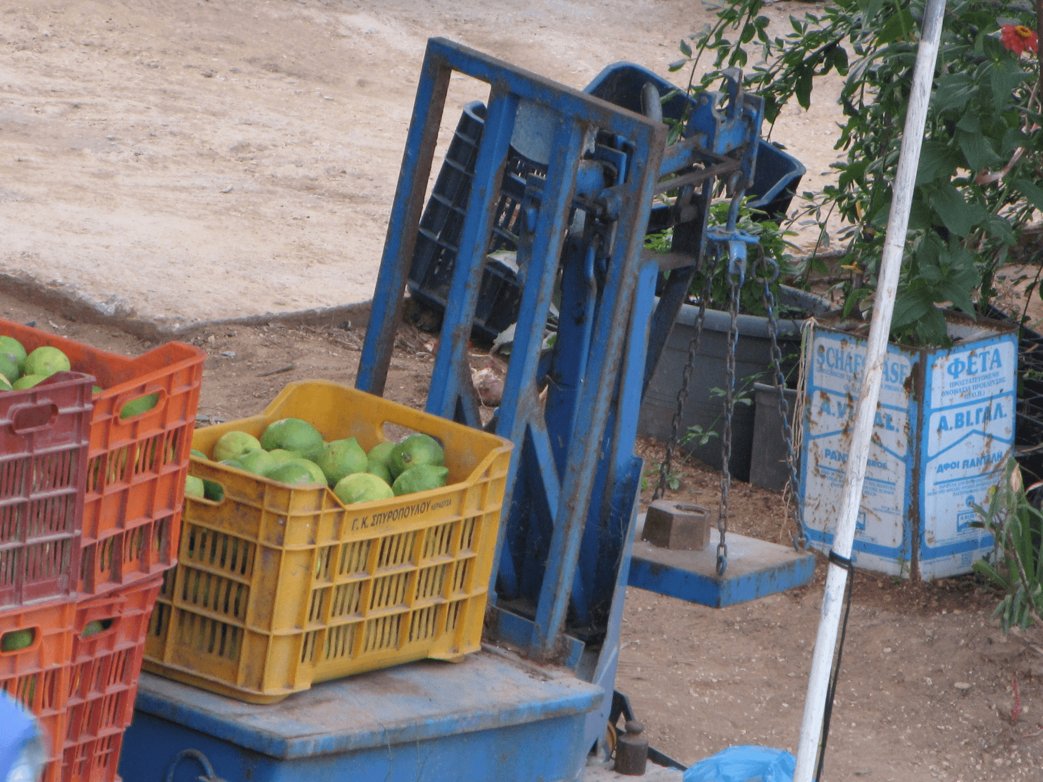 Proper Packaging Reduces Exporting Mango Quality Risks